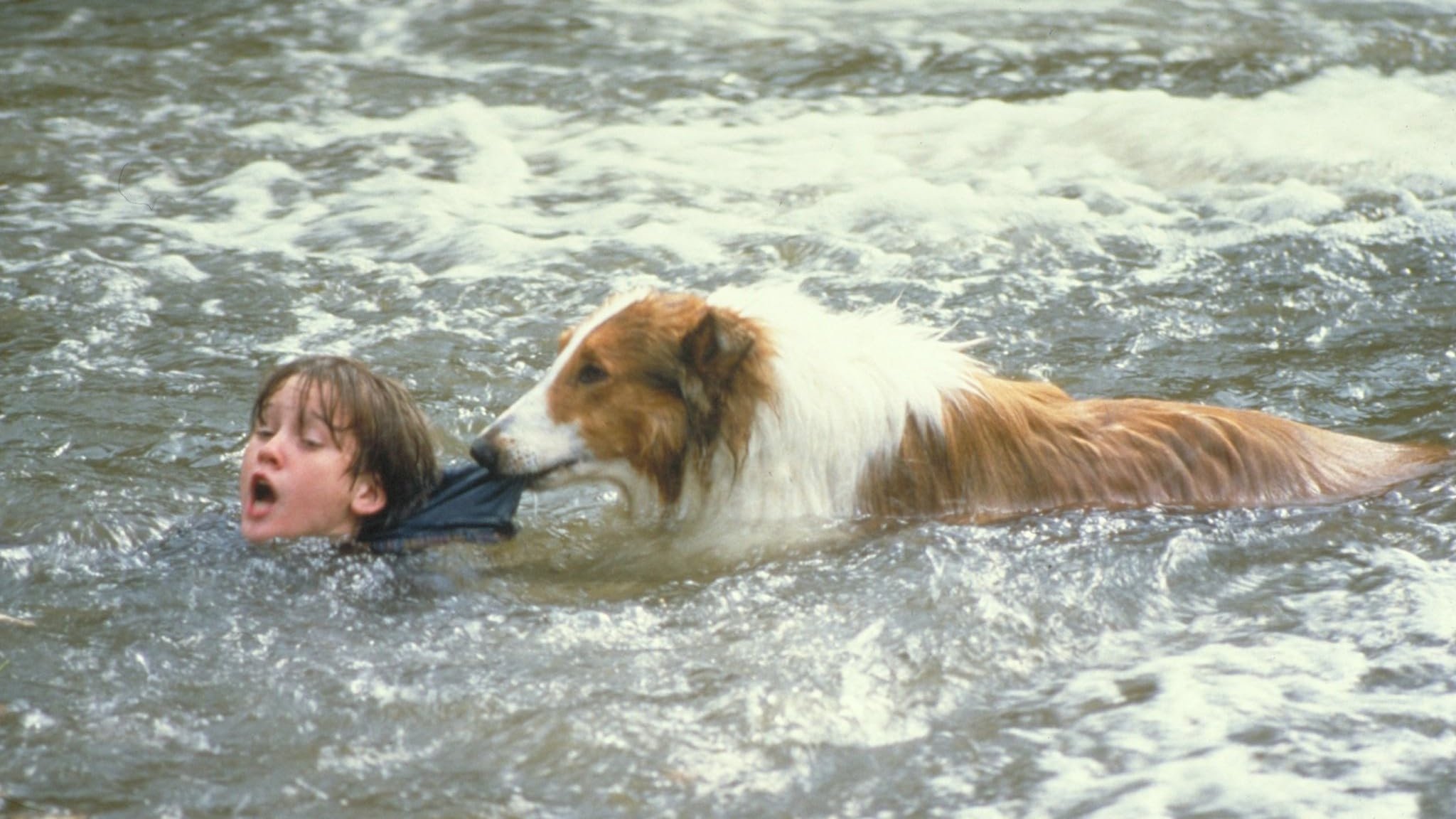 Lassie Background