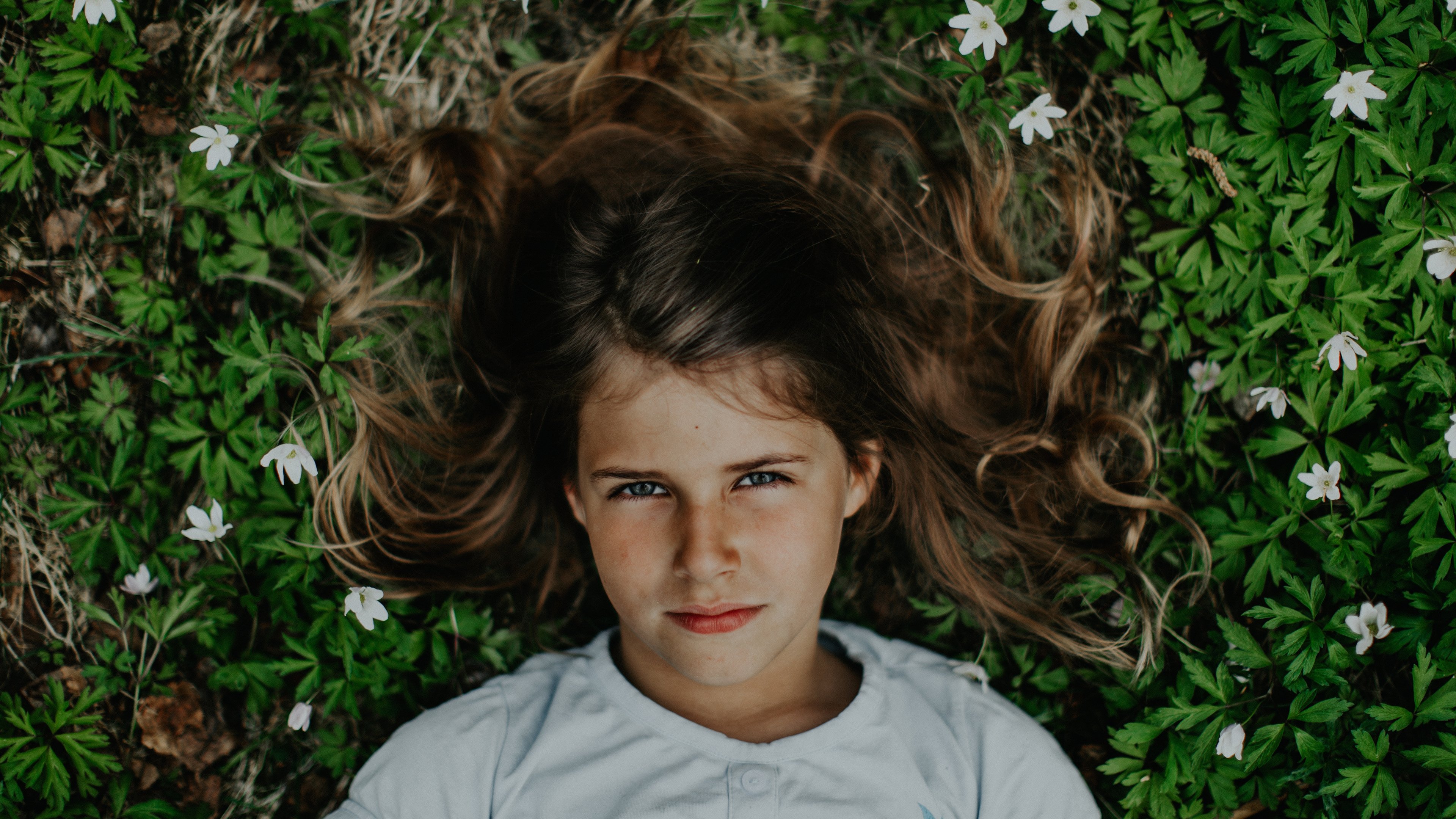 A New Kind of Wilderness Background