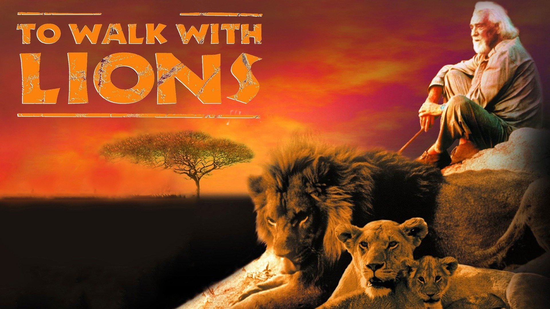 To Walk with Lions Background
