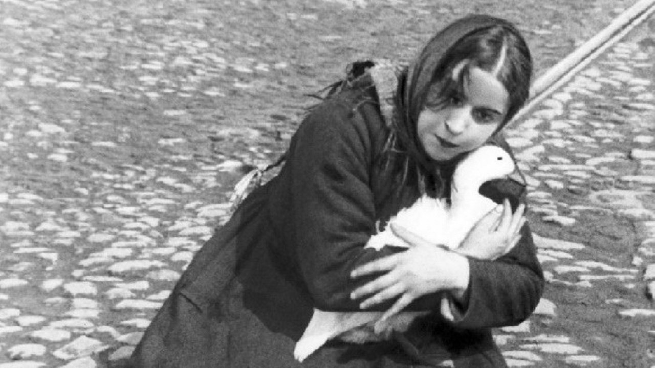 The House on Trubnaya Background