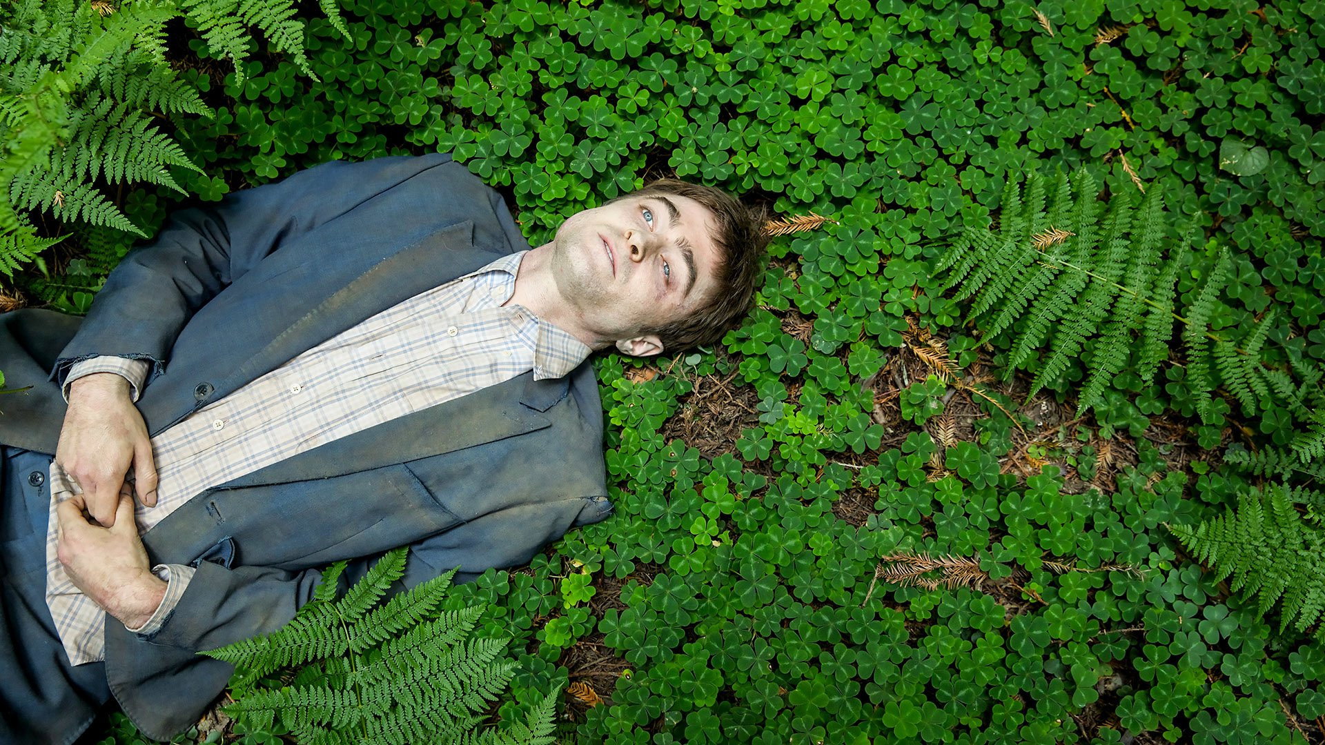 Swiss Army Man Background