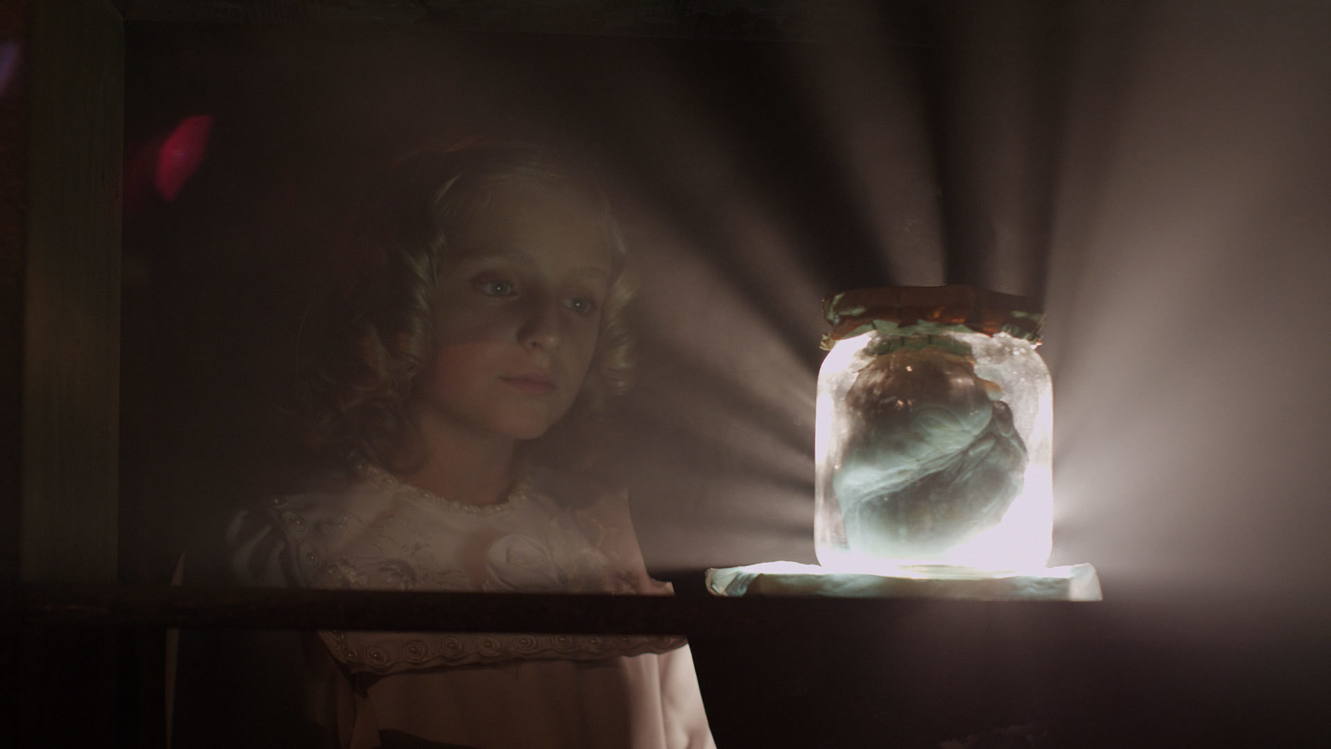 Field of Dogs Background