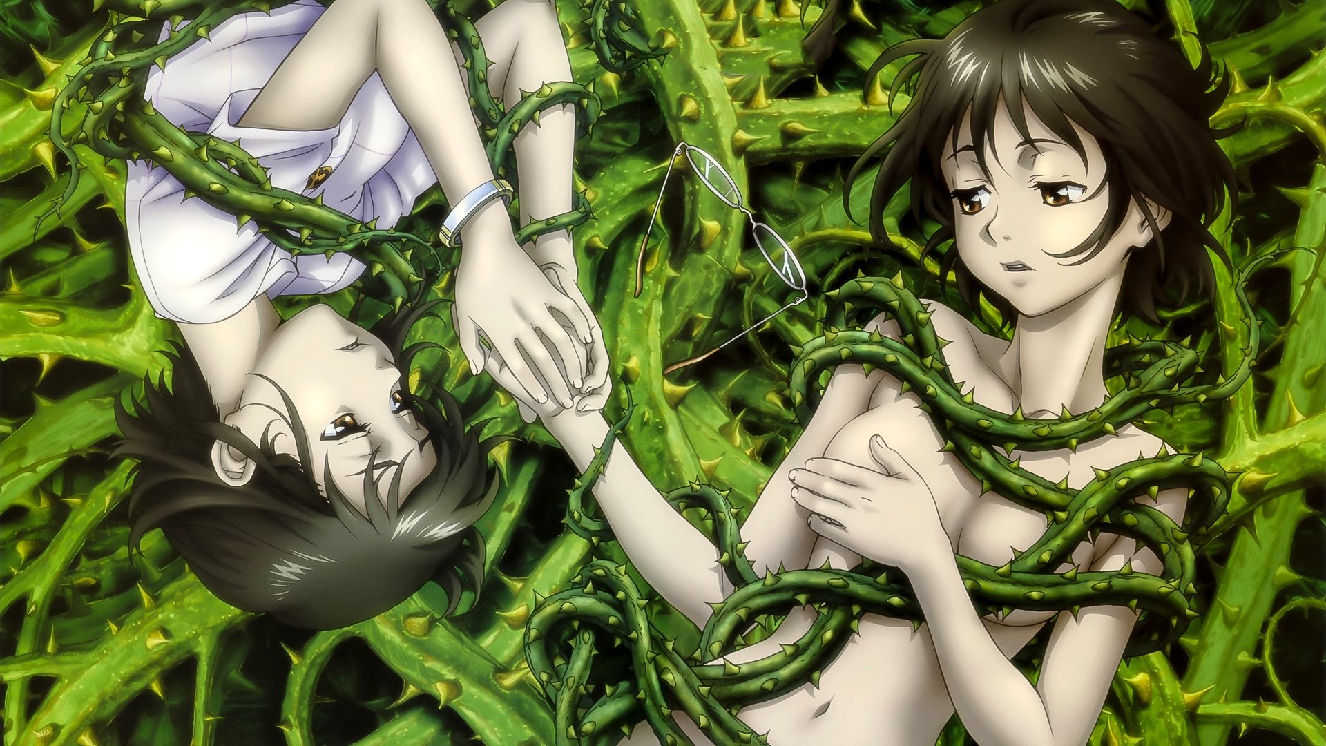 King of Thorn Background