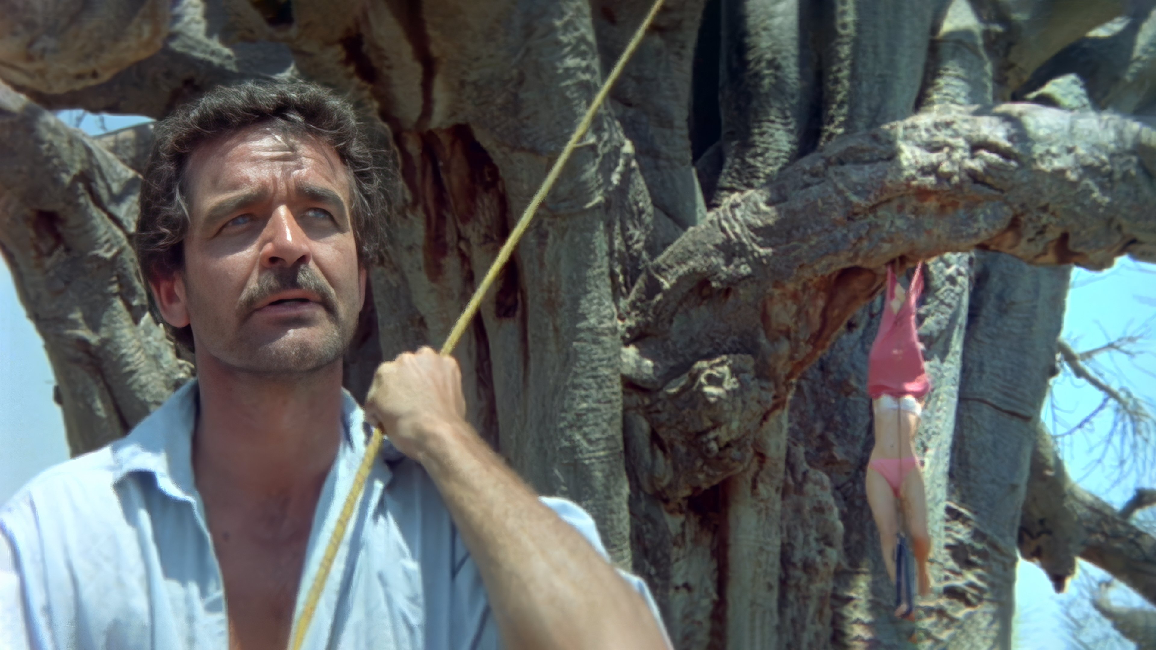 The Gods Must Be Crazy II Background