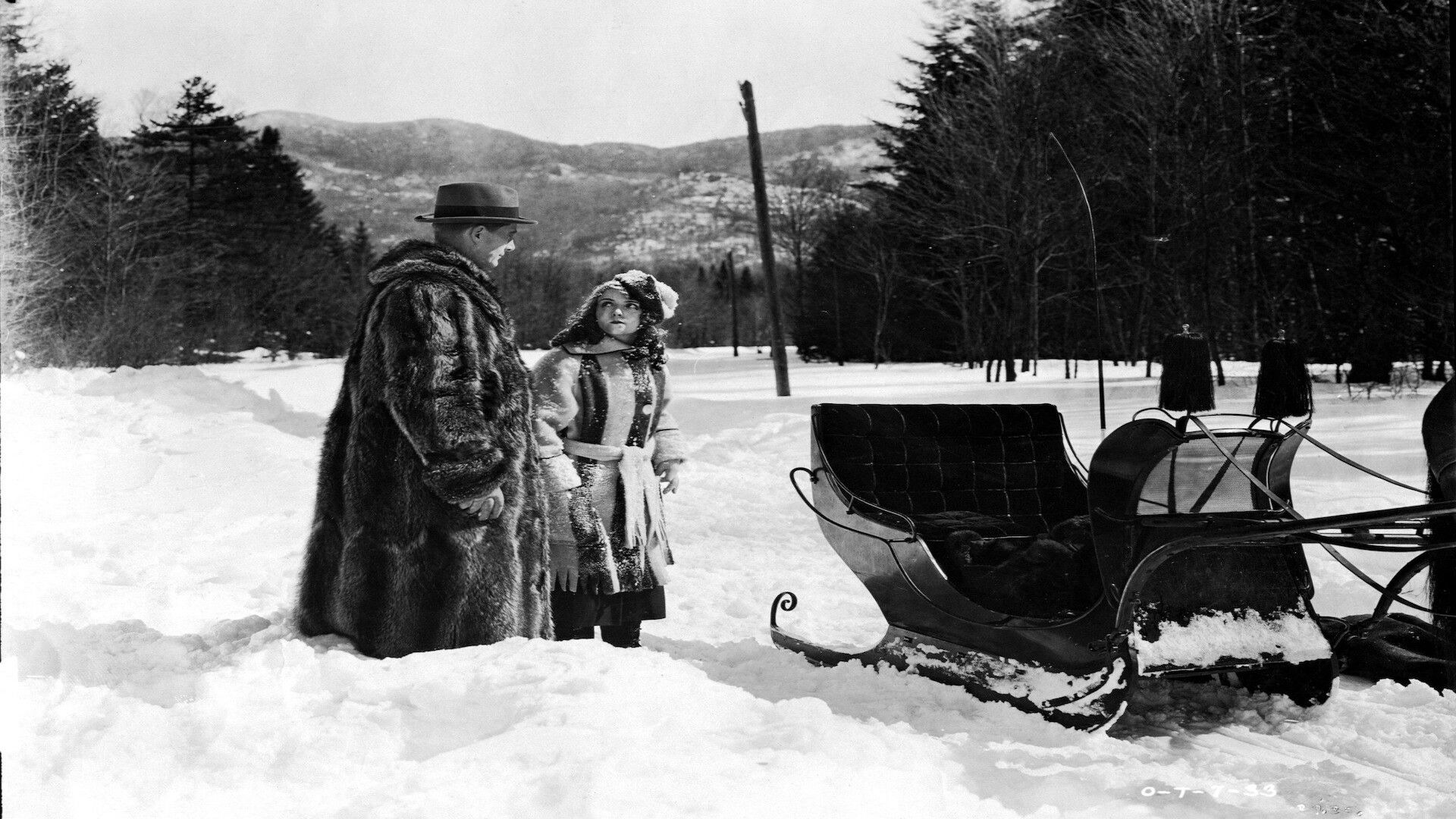 The Flapper Background