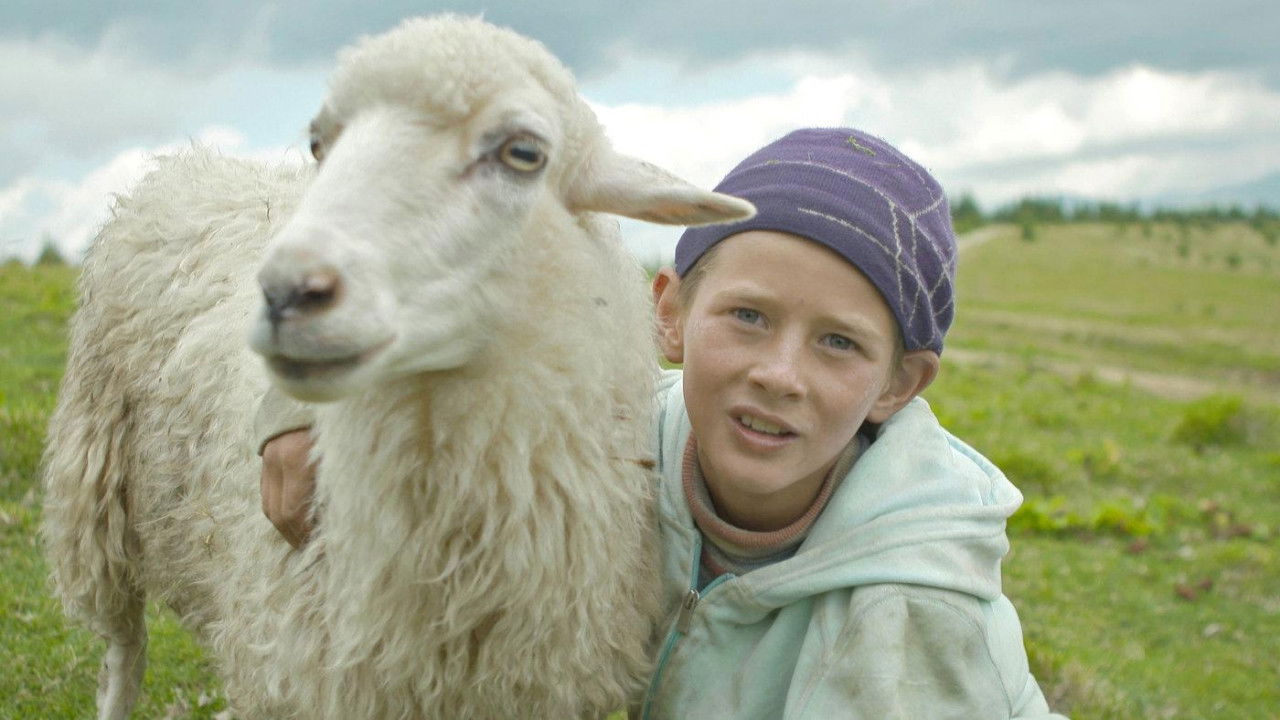 The Living Fire Background