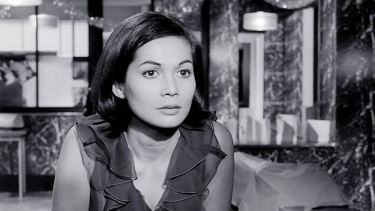 The Wild Affair Background