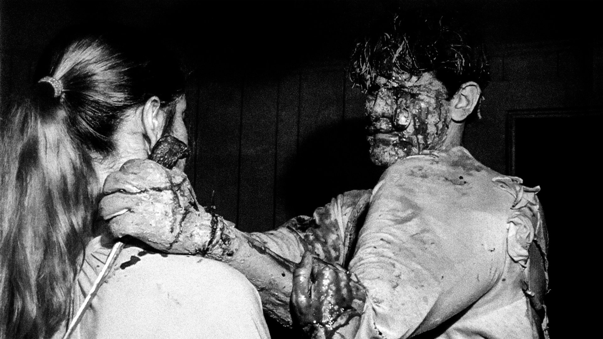 Within the Woods Background