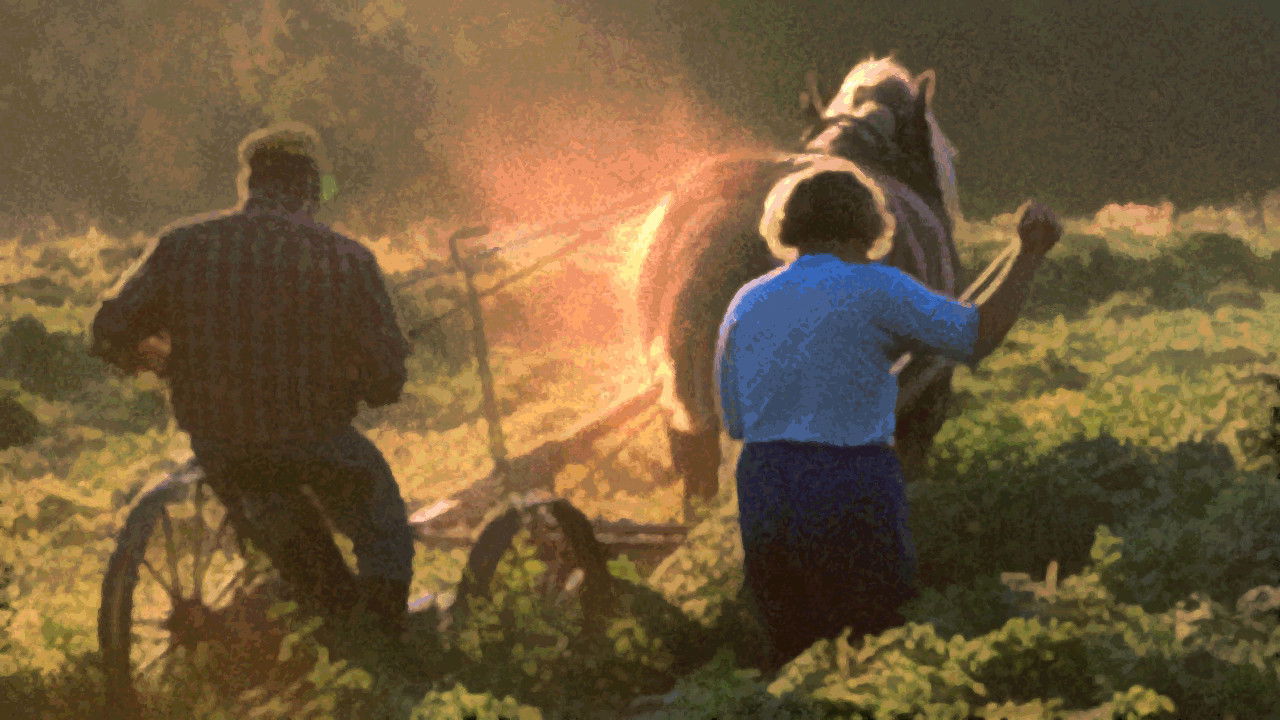 The Farmer's Time on Earth Background