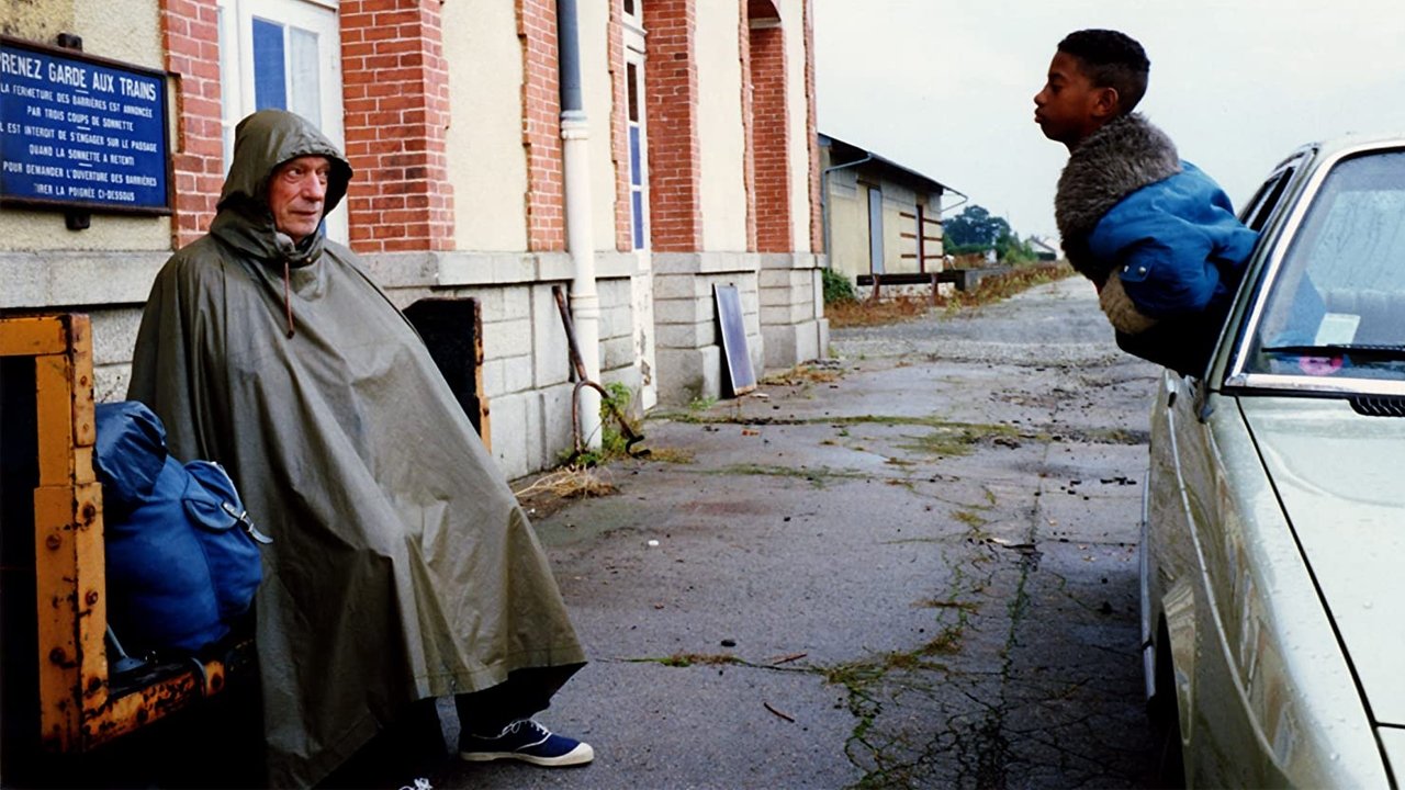 IP5: The Island of Pachyderms Background