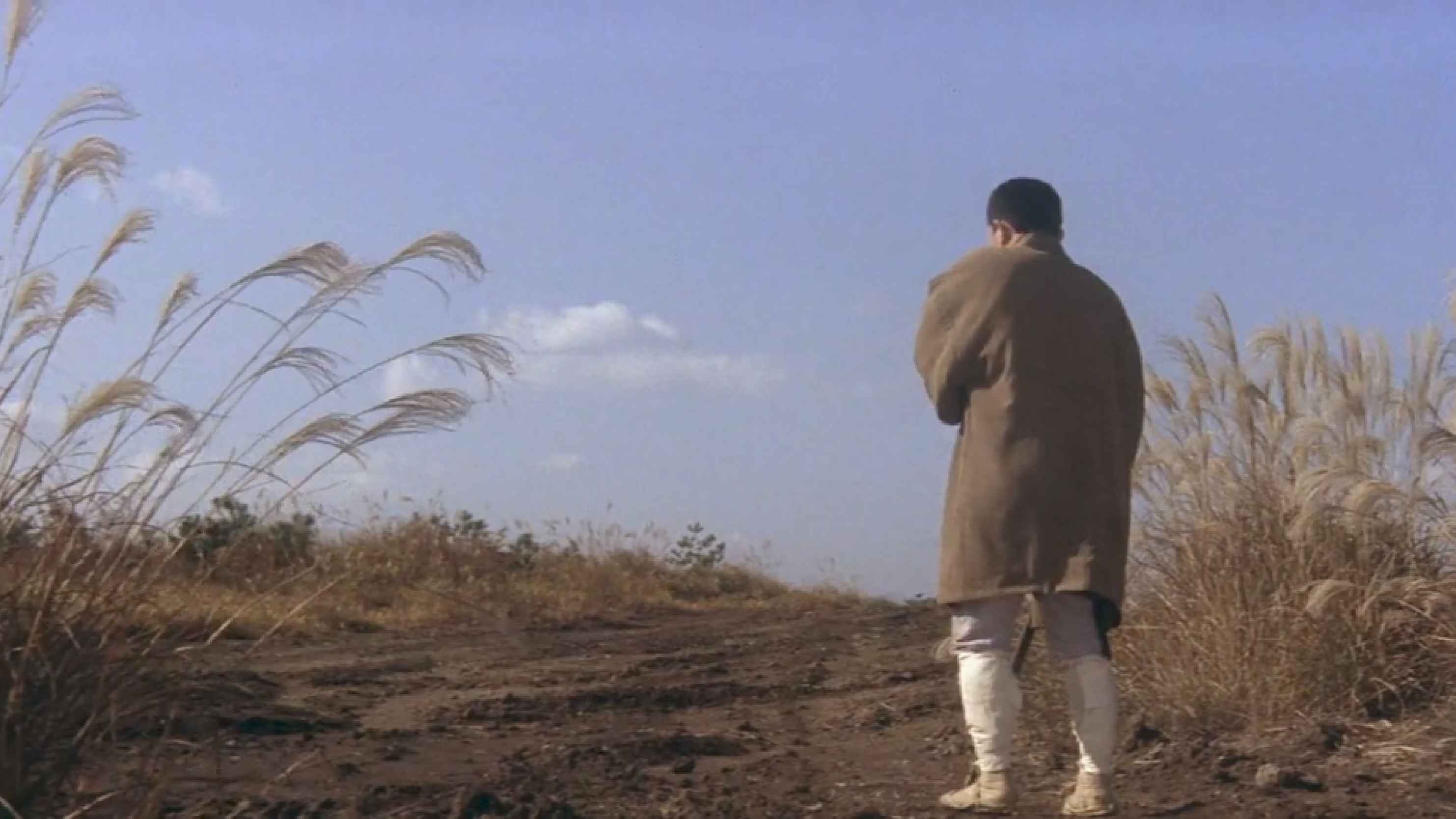 Zatoichi on the Road Background