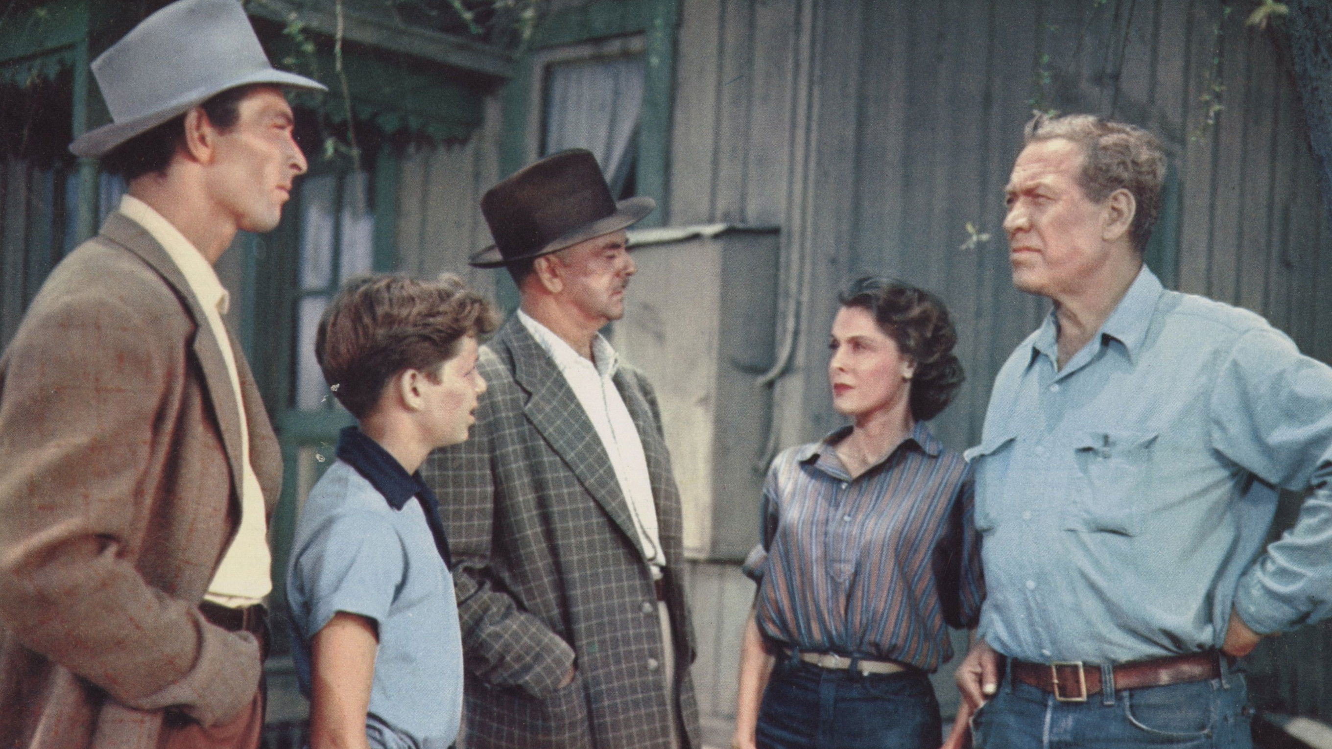 Gypsy Colt Background