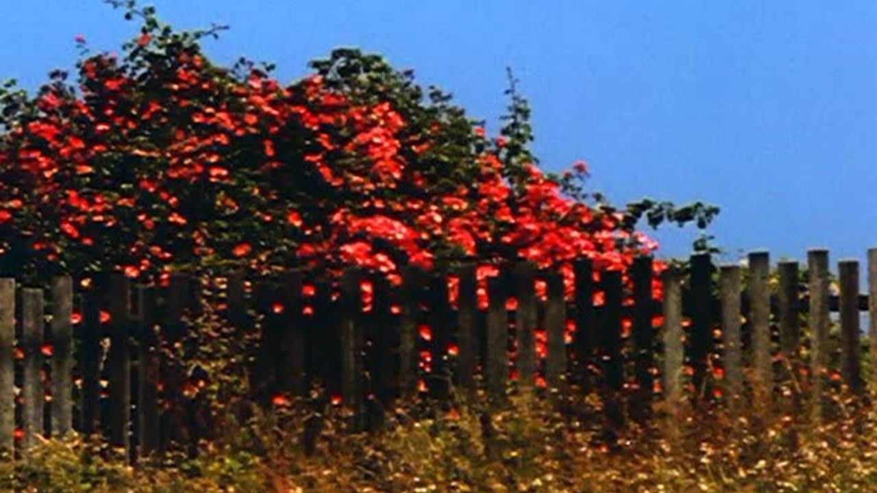 All My Life Background