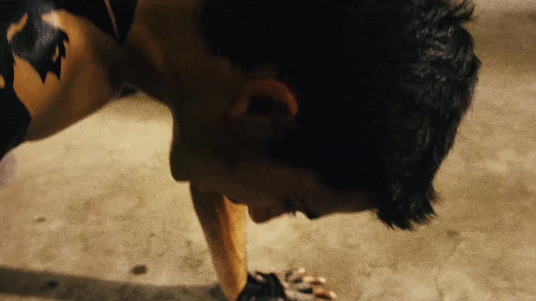 The White Monkey Warrior Background