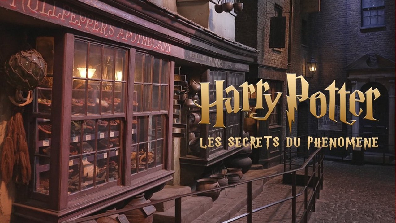 Harry Potter : les secrets du phénomène Background