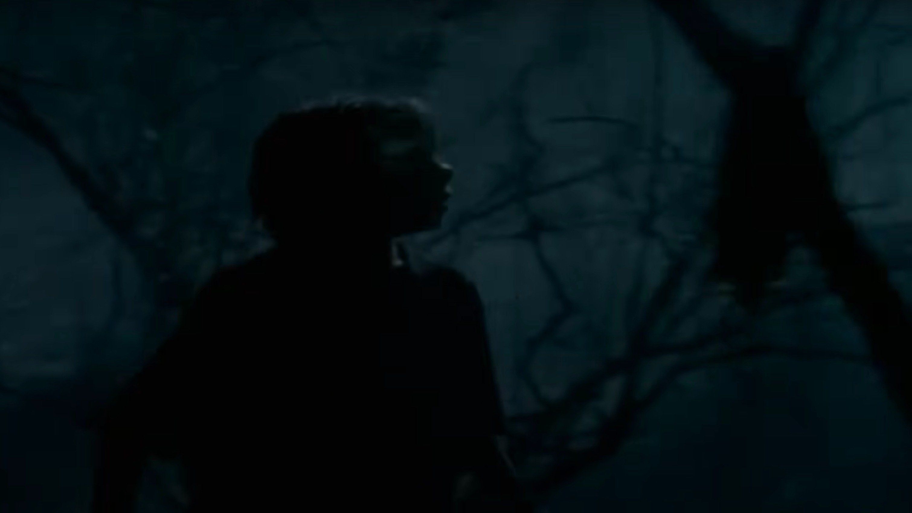 Goosebumps: The Werewolf of Fever Swamp Background