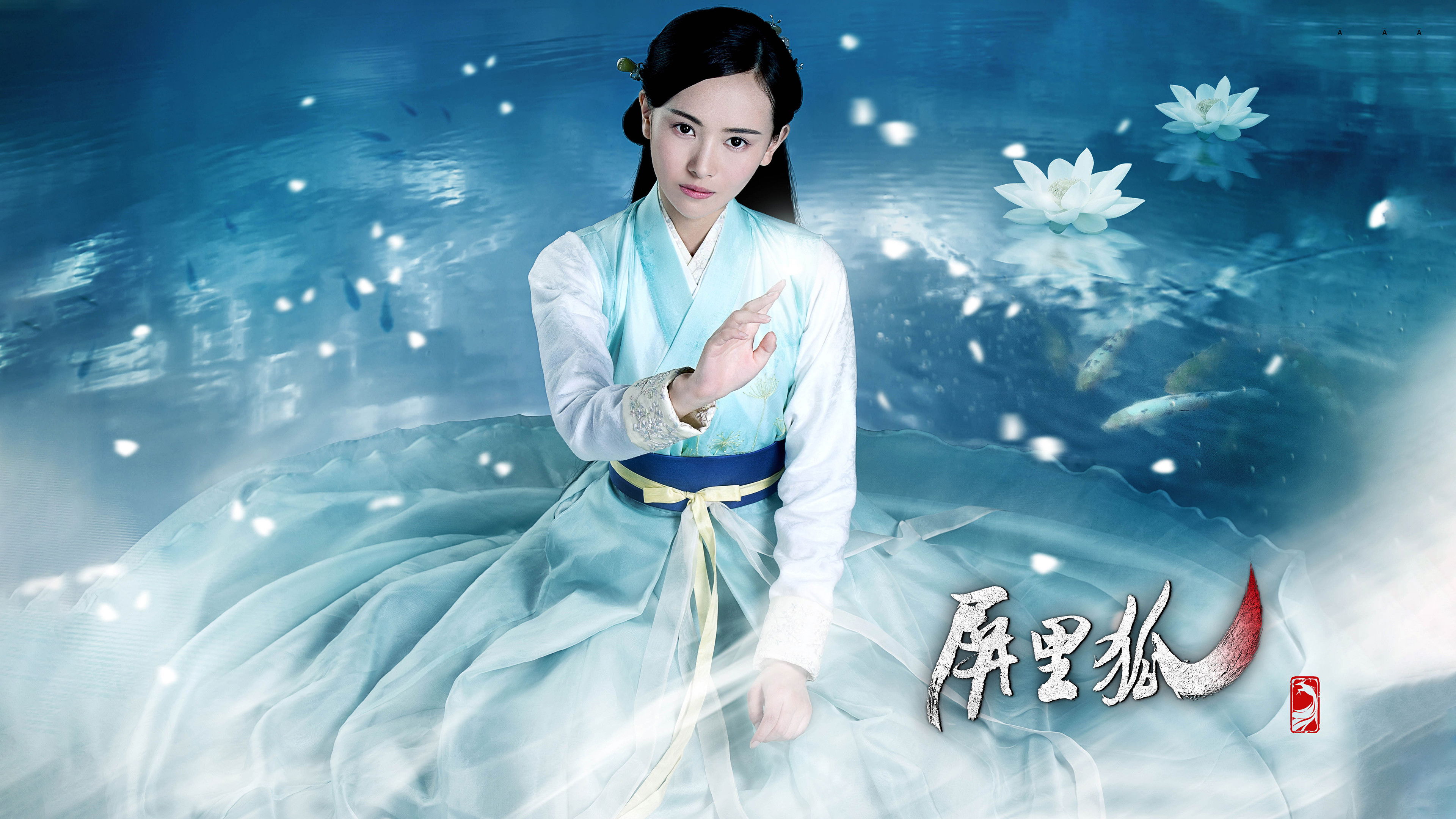 Fox in the Screen Background