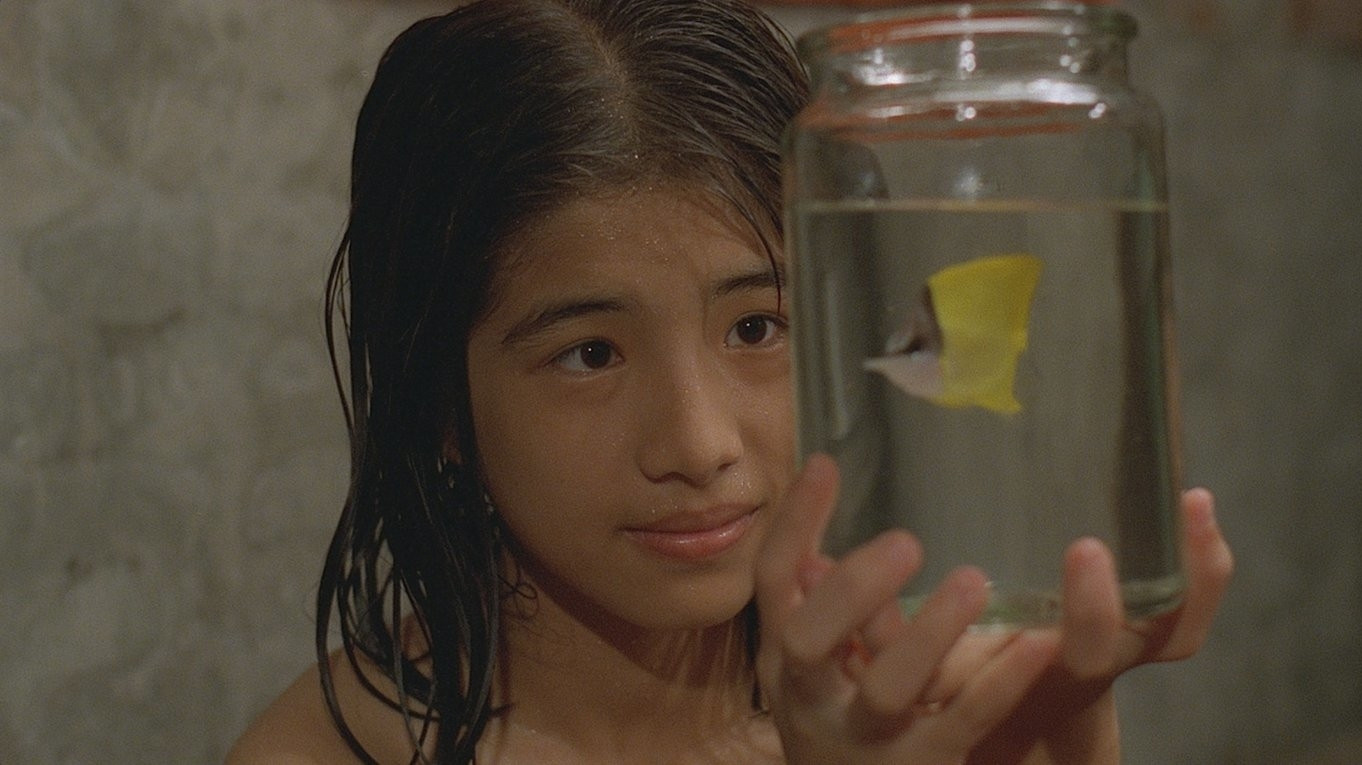 Tropical Fish Background