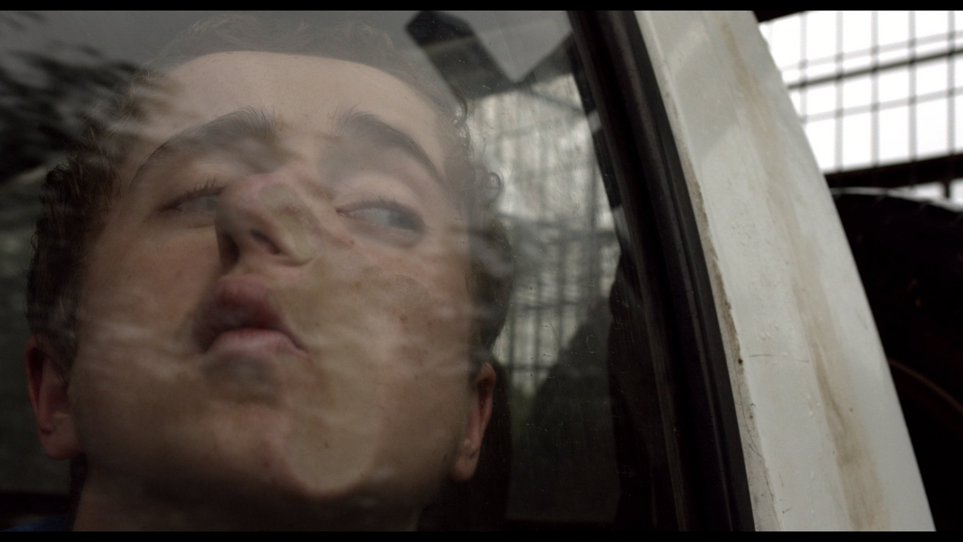 Kill Your Dinner Background