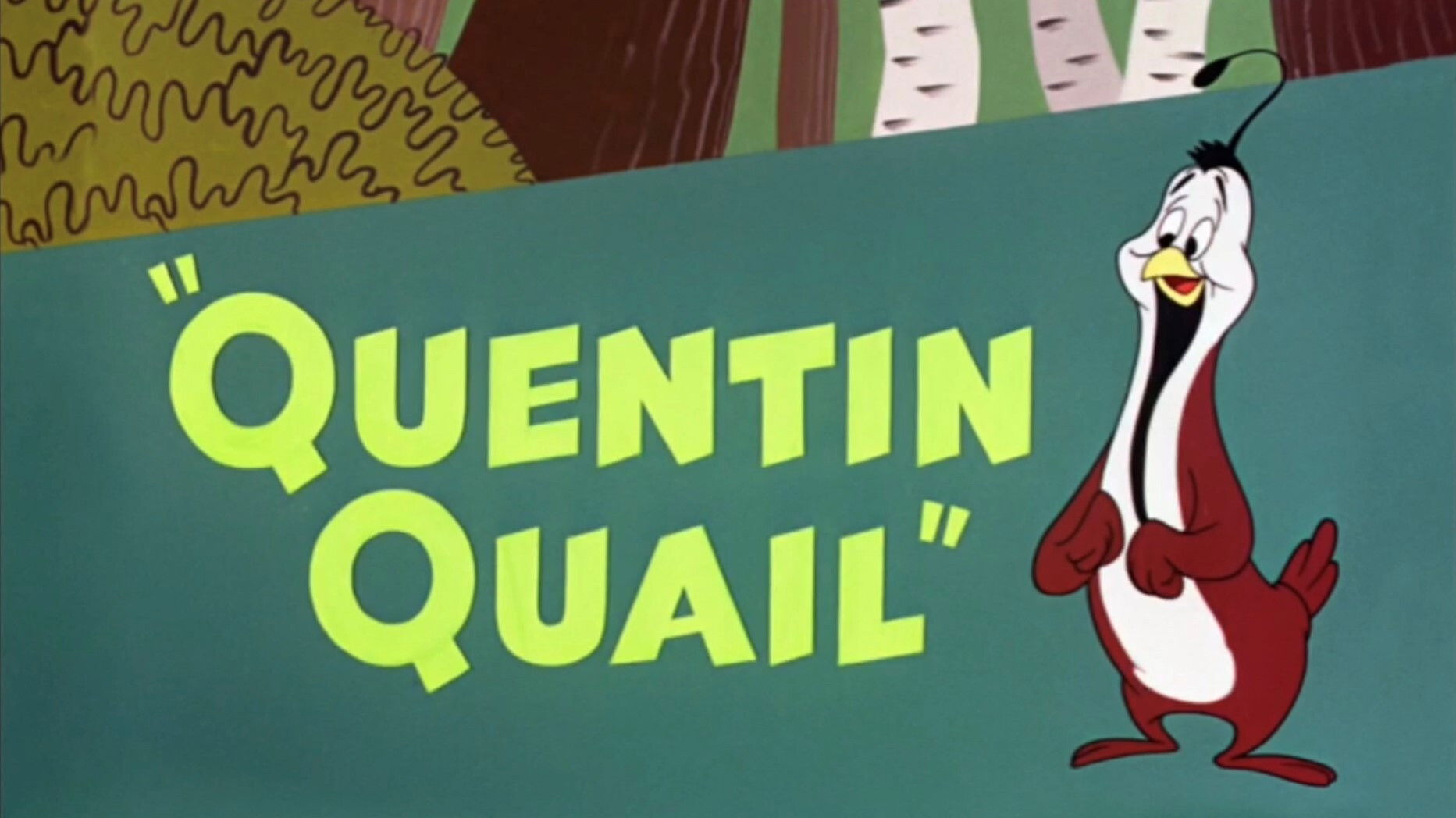 Quentin Quail Background