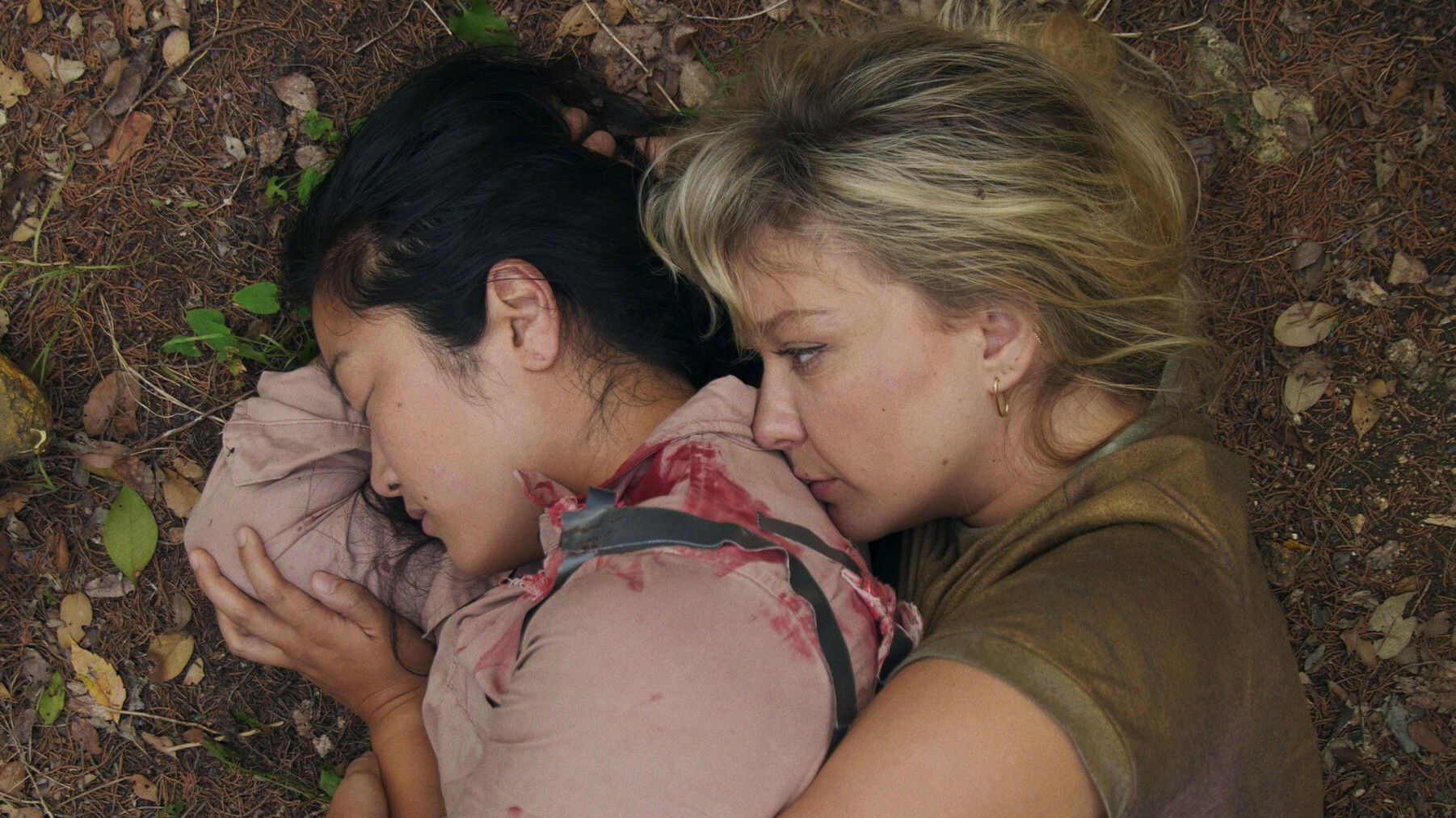 A Game in the Woods Background