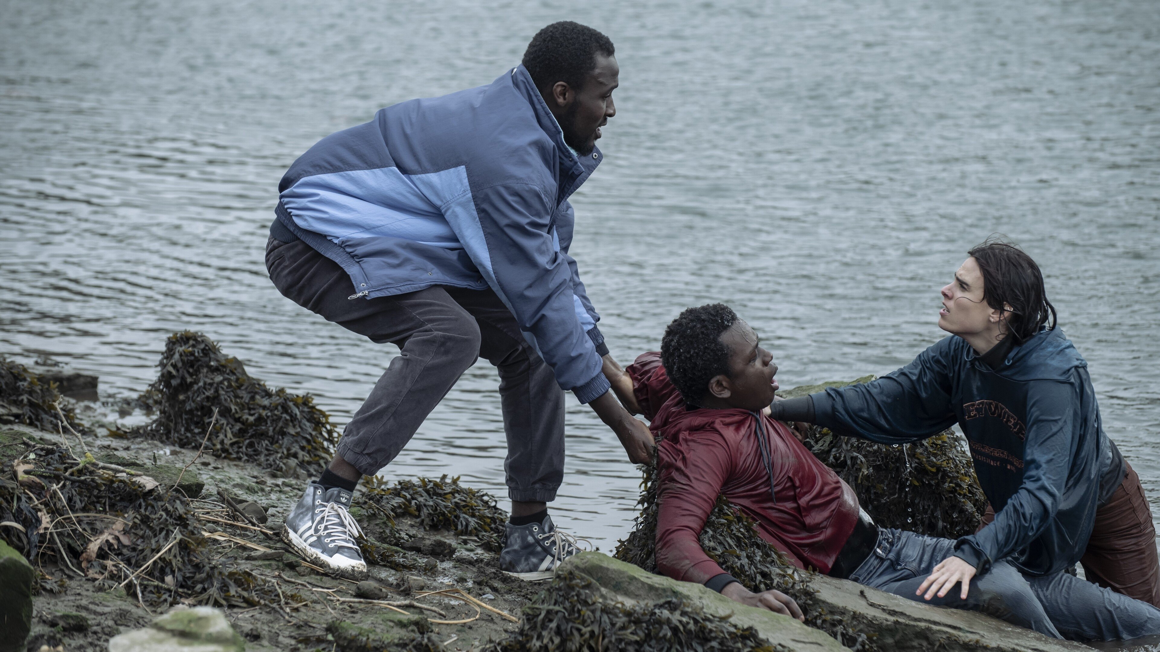 Pheasant Island Background