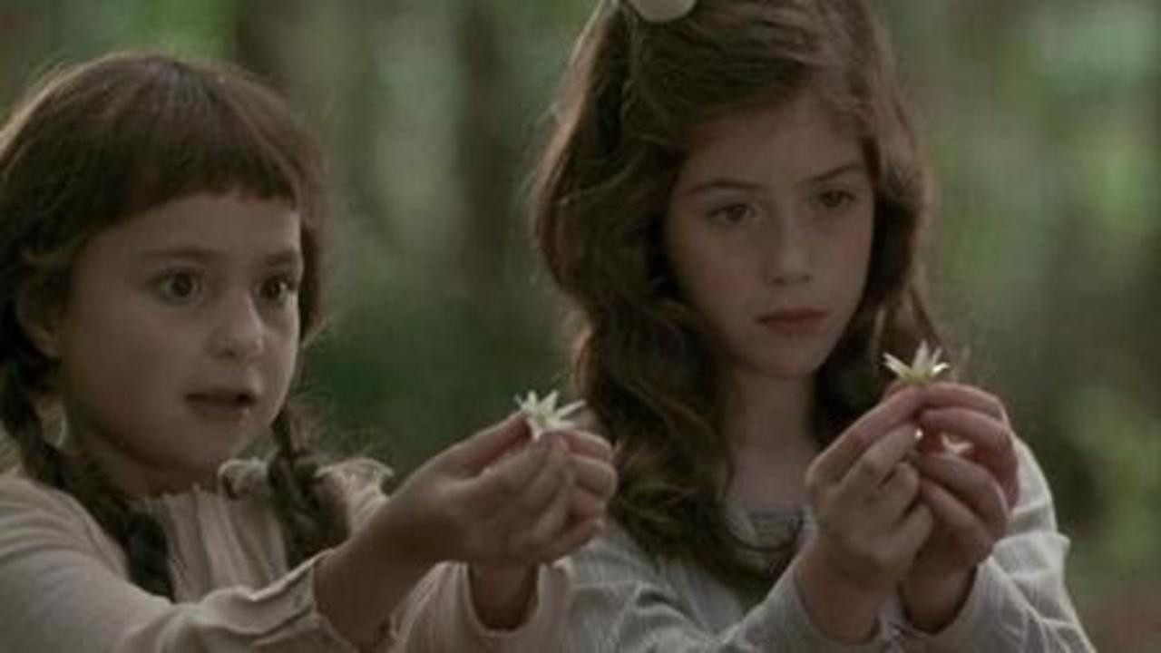 Photographing Fairies Background