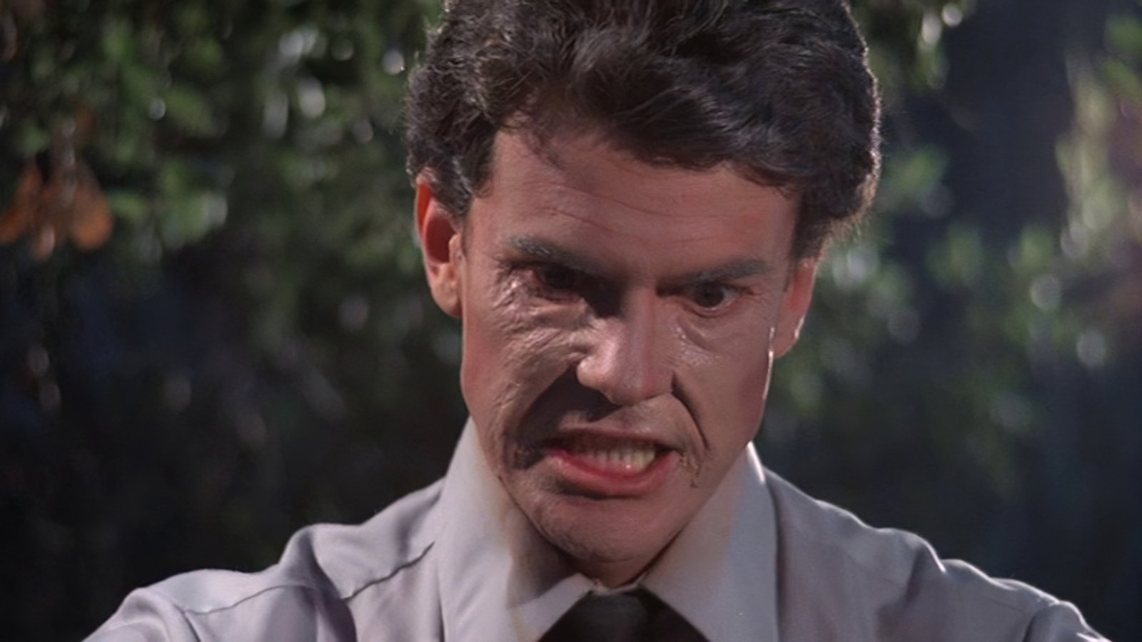 Don't Go Near the Park Background