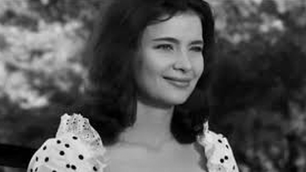 Snow White and the 7 Old Boys Background