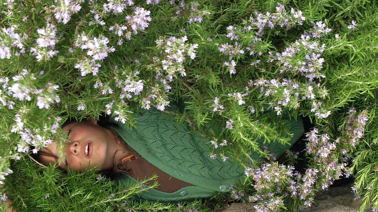 Times and Winds Background