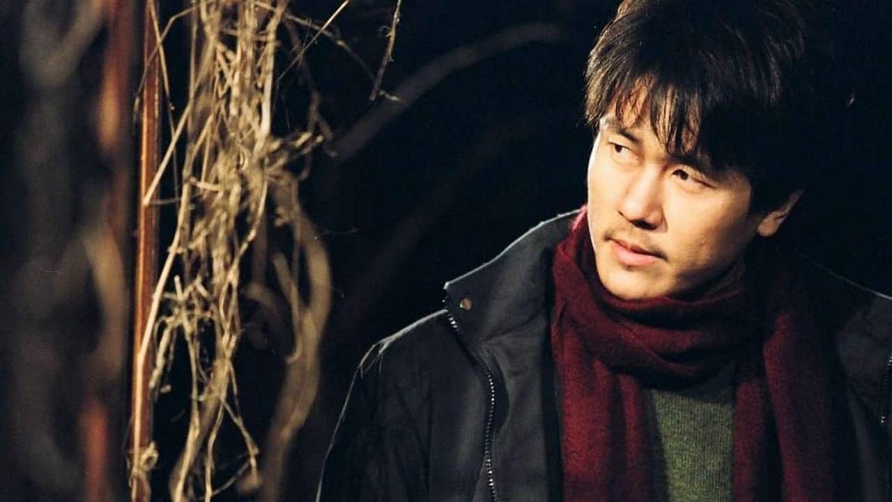 Spider Forest Background