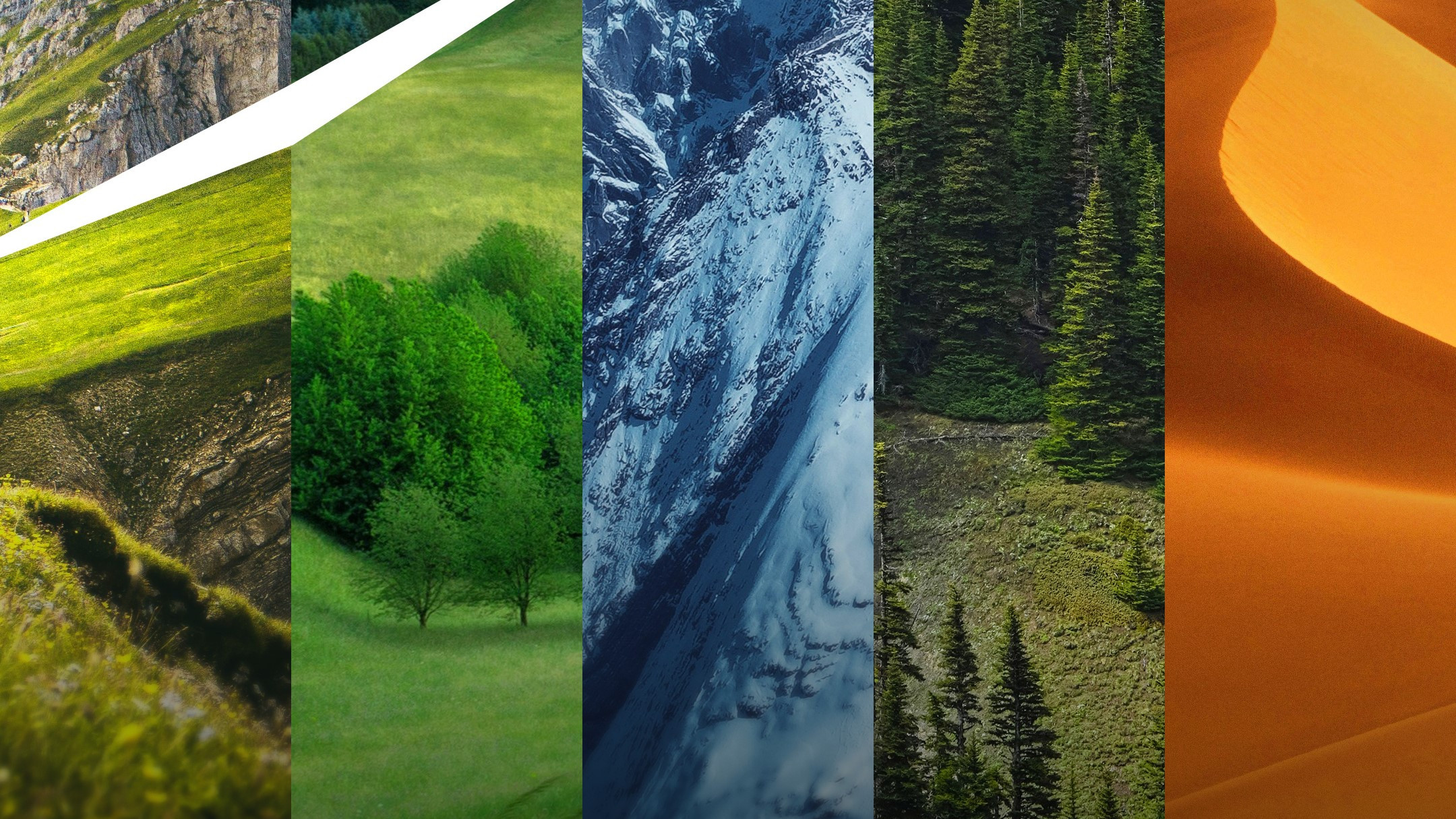 Wilderness Planet Background