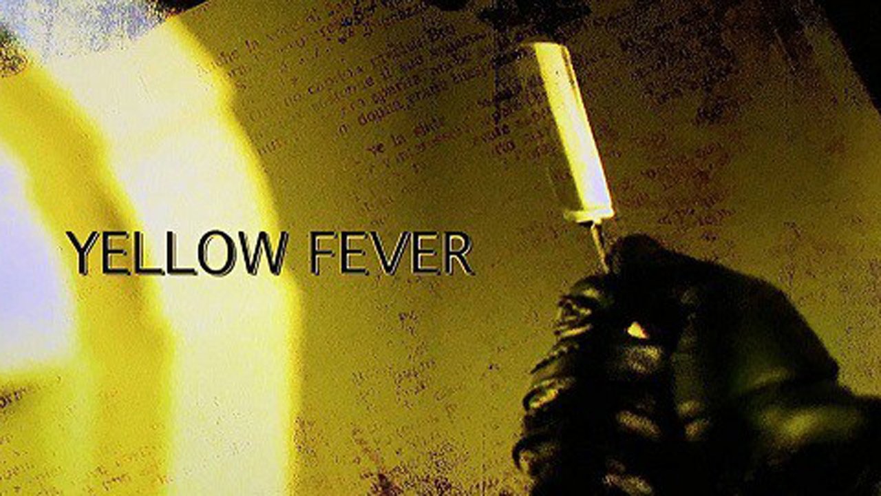 Yellow Fever: The Rise and Fall of the Giallo Background