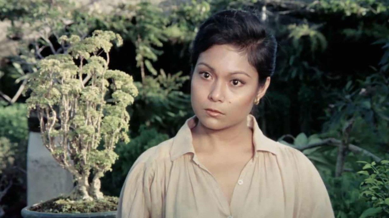 Ikaw ay Akin Background