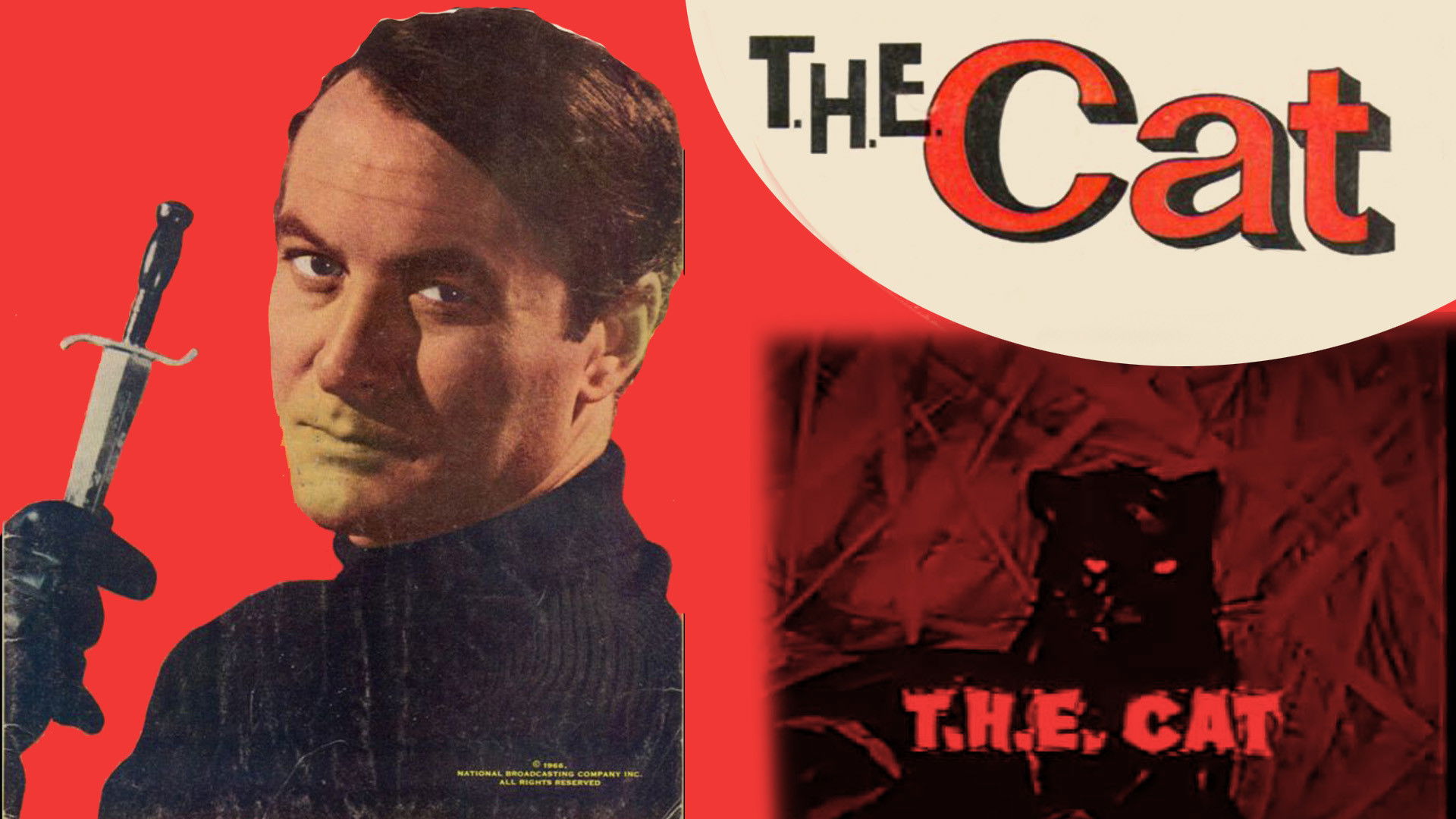 T.H.E. Cat Background