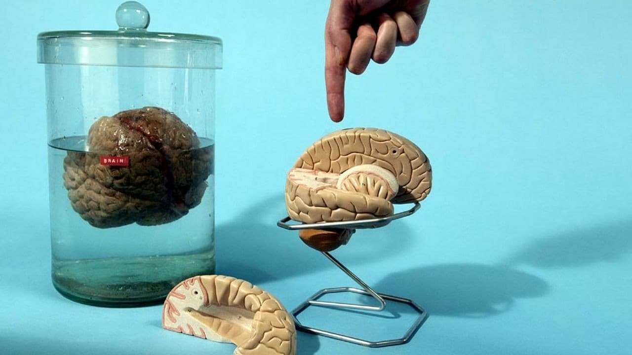 Look Around You Background