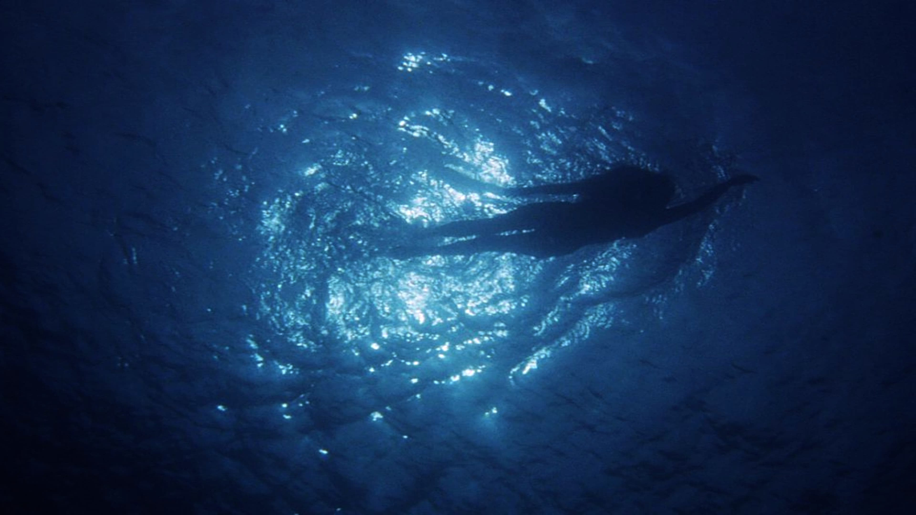 Les dents de la mer: Un succès monstre Background