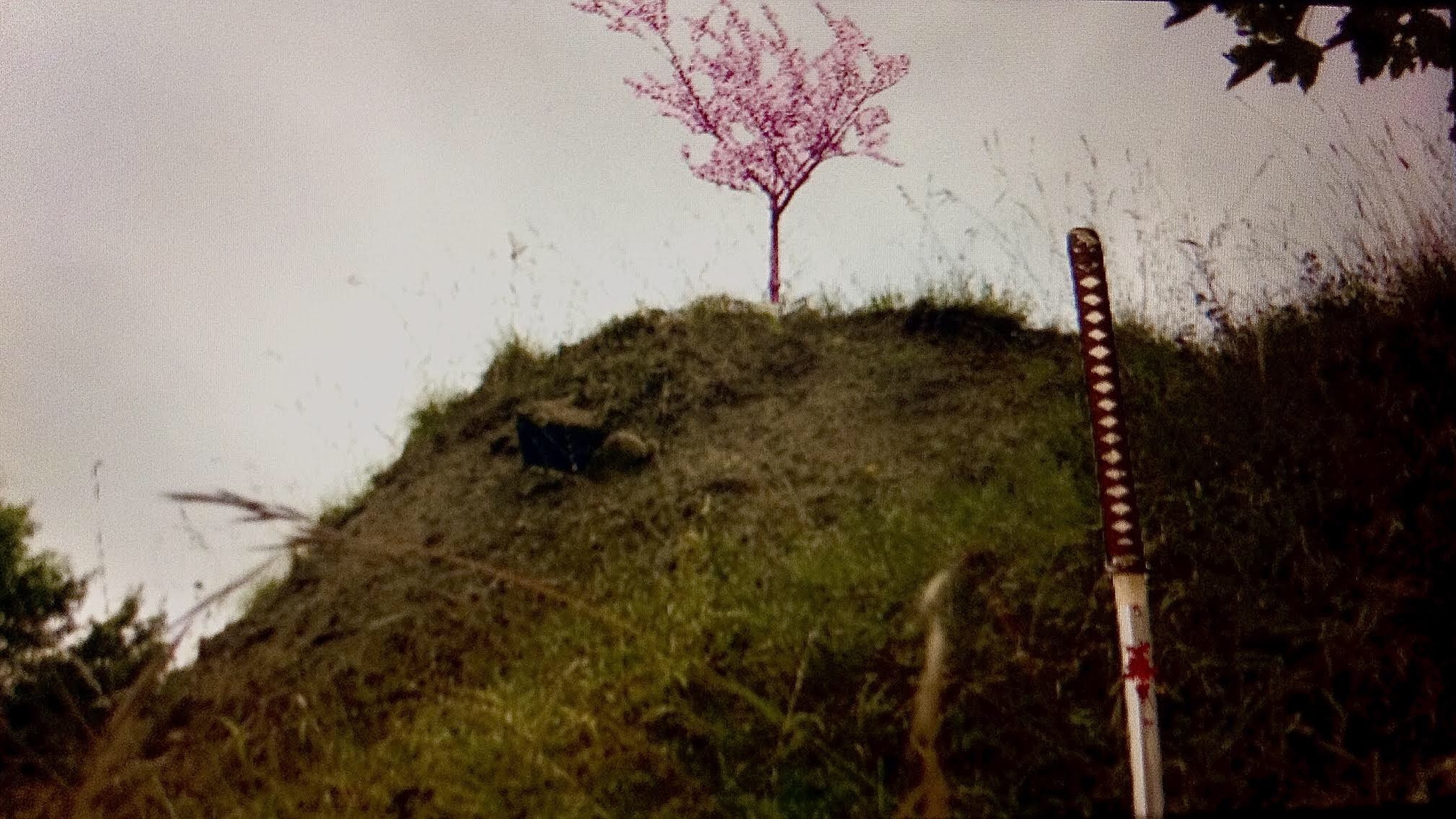 Havoc in Highfields Volume II: Call of The Cavalry Background