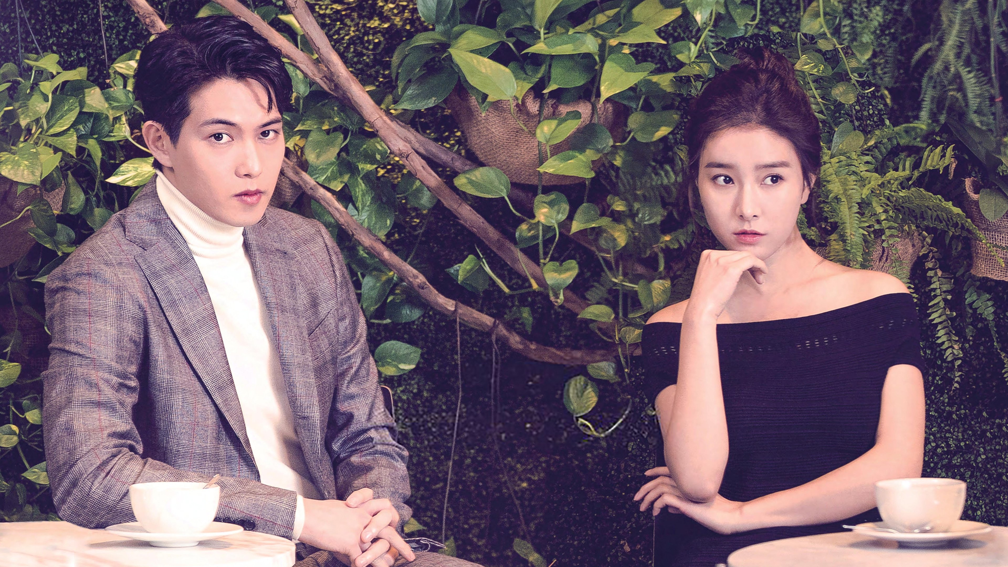 Evergreen Background