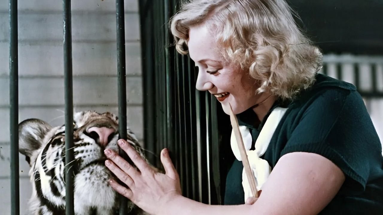 Tiger Girl Background