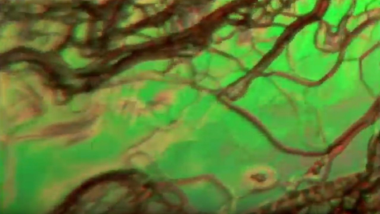 Liquid Crystals Background