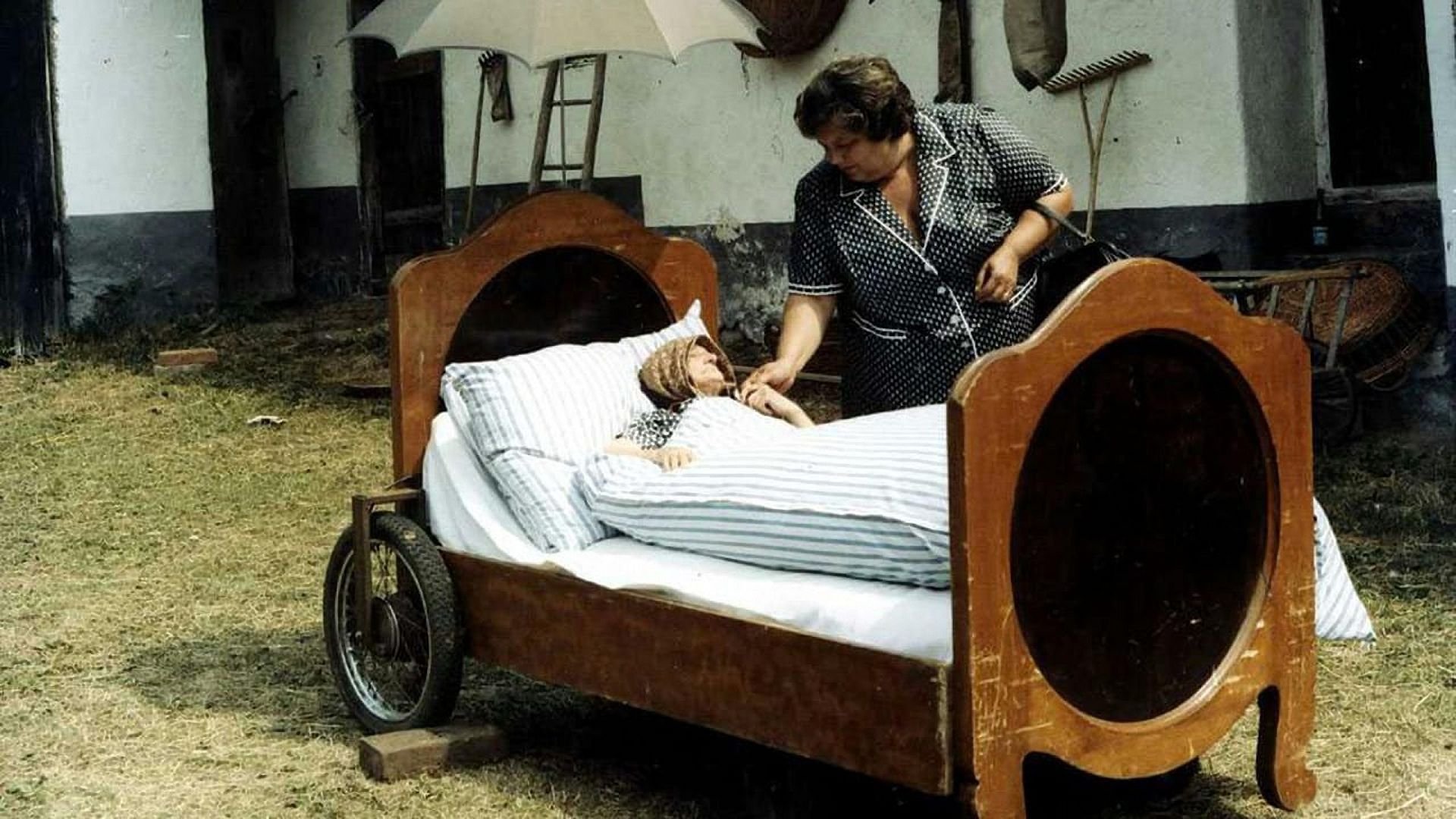 Sun, Hay, Berries Background