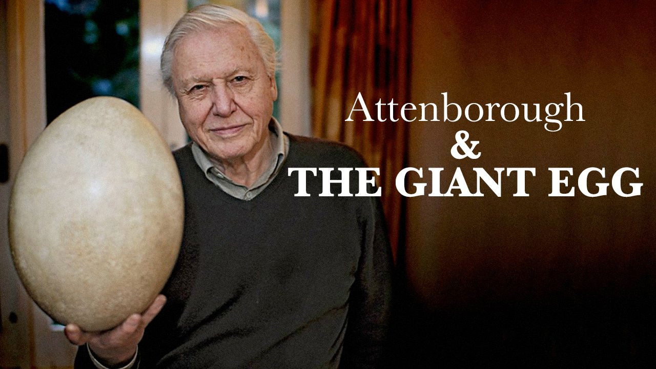 Attenborough and the Giant Egg Background