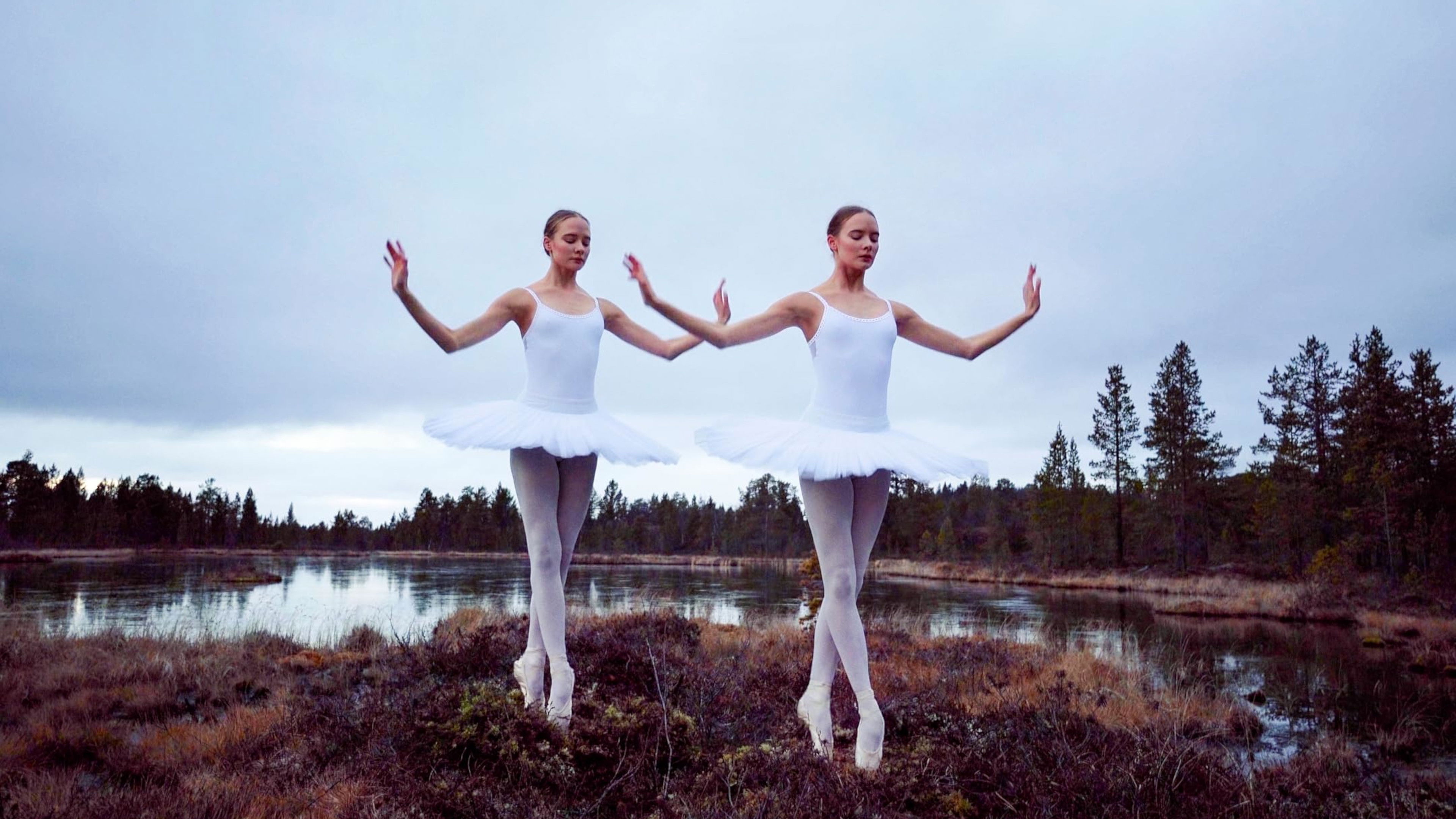 Birds in the Earth Background