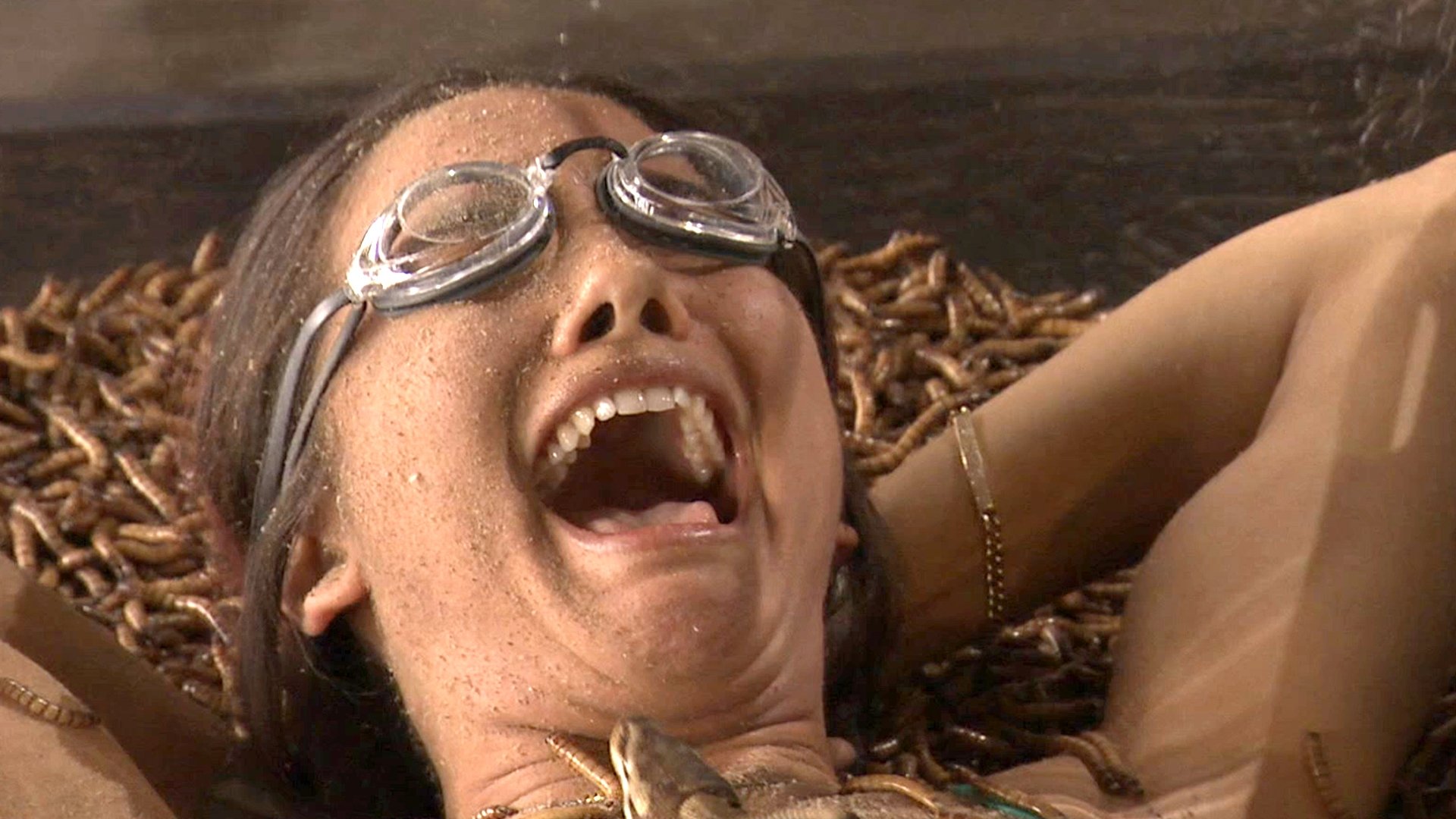 Fear Factor Background