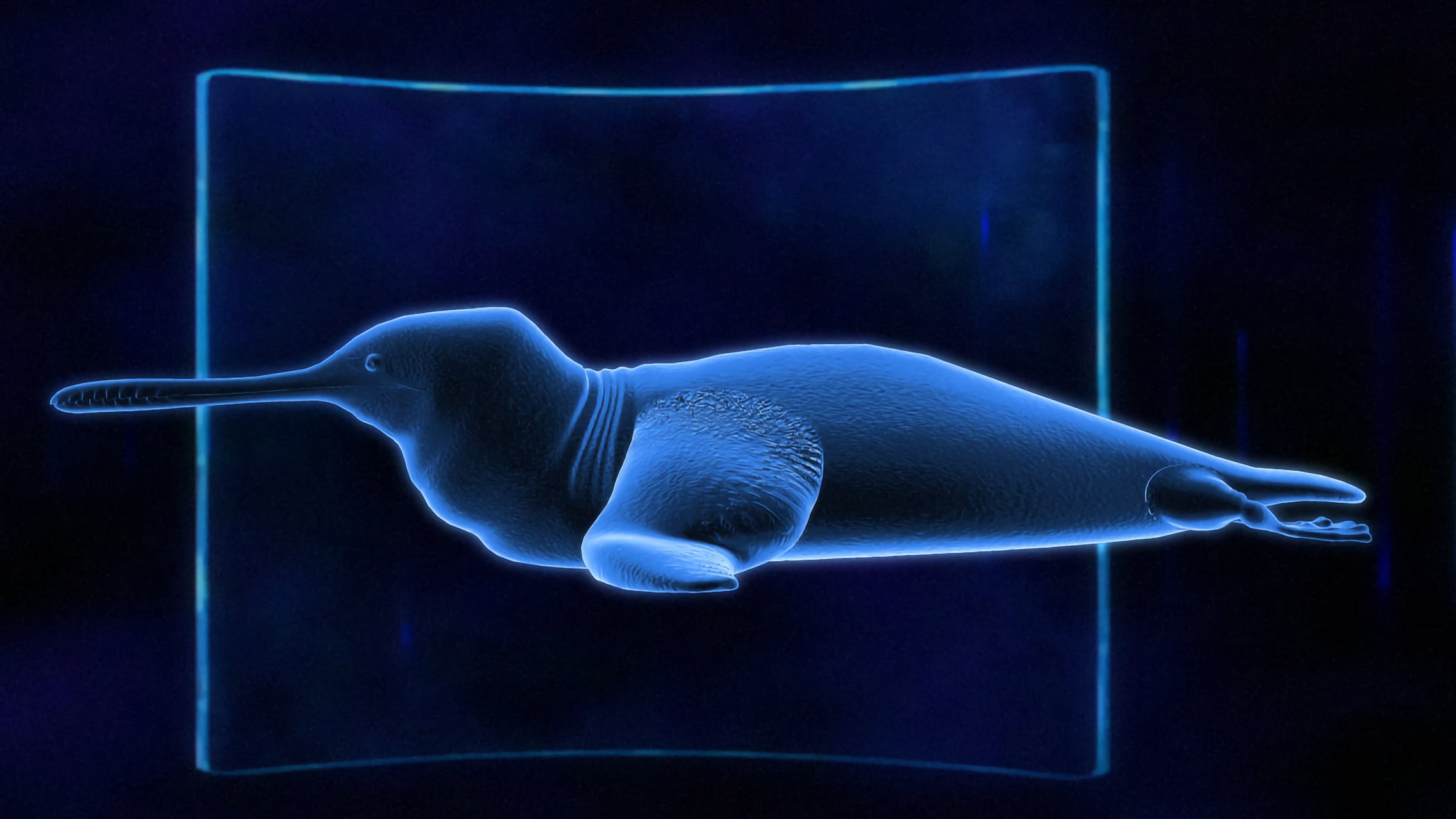 The Future Is Wild Background