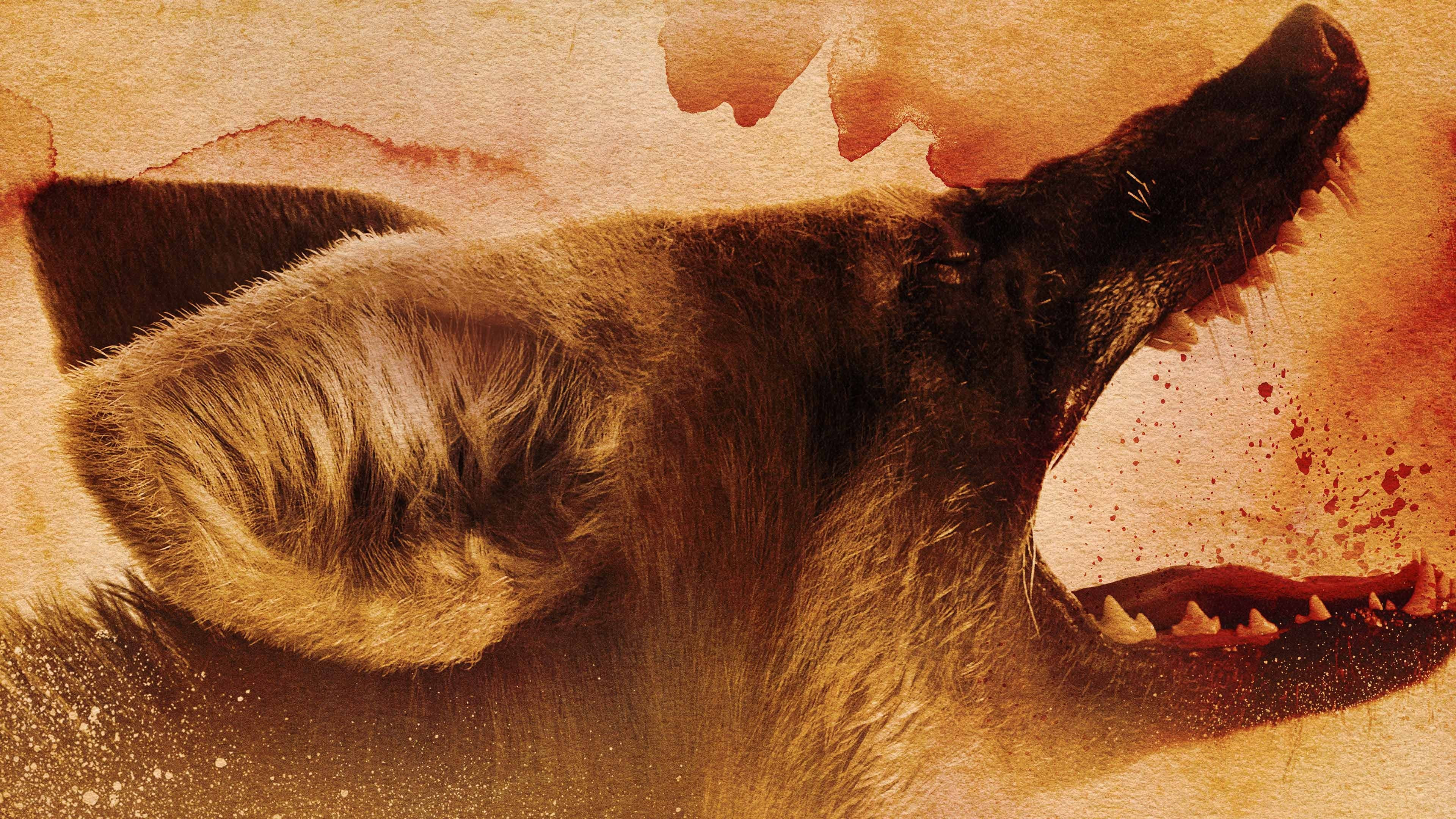 Vermelho Sangue Background