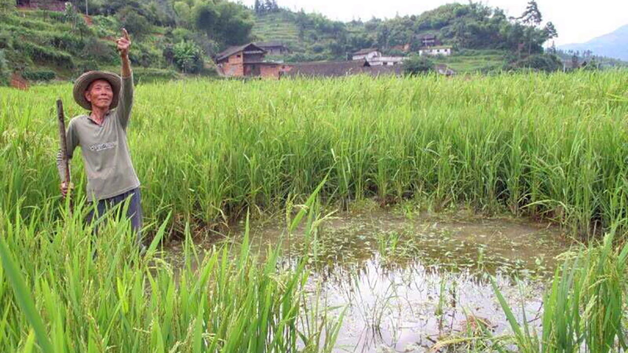 Falling From the Sky Background