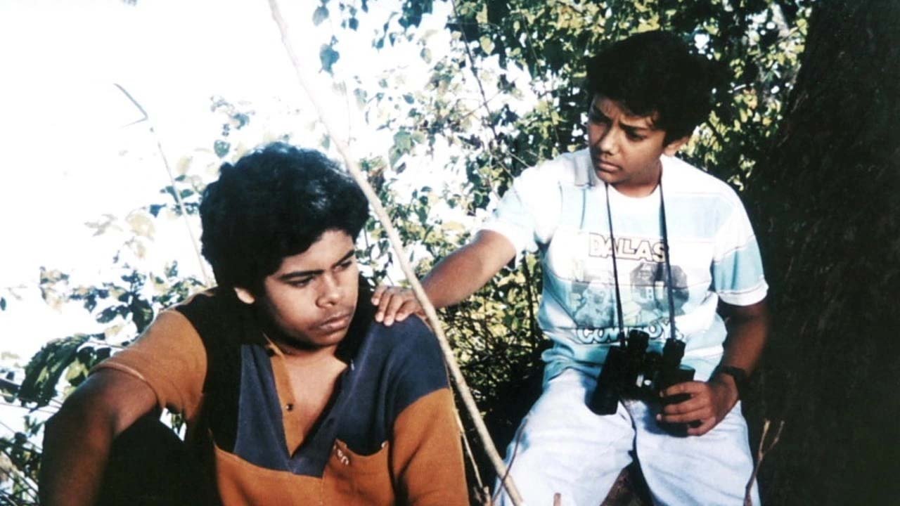 Dipu Number Two Background