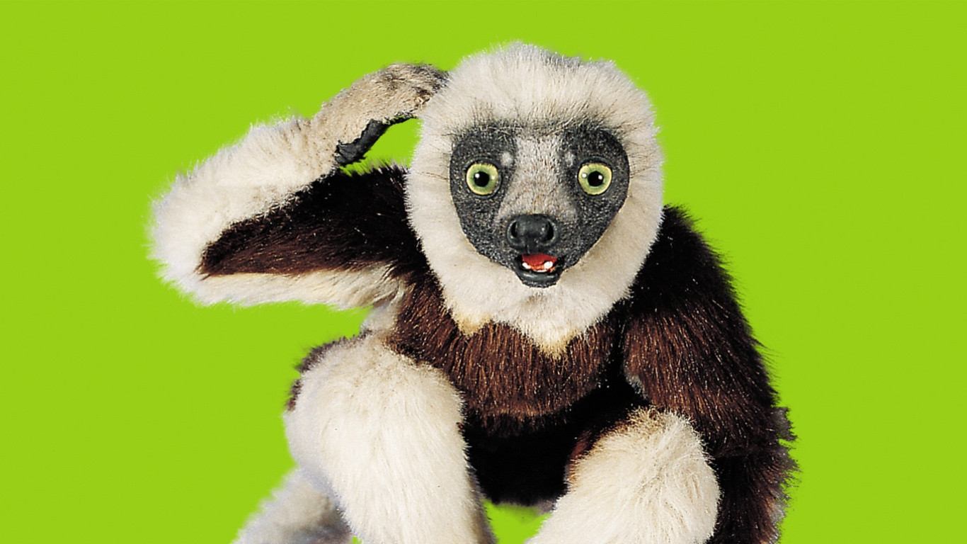 Zoboomafoo Background